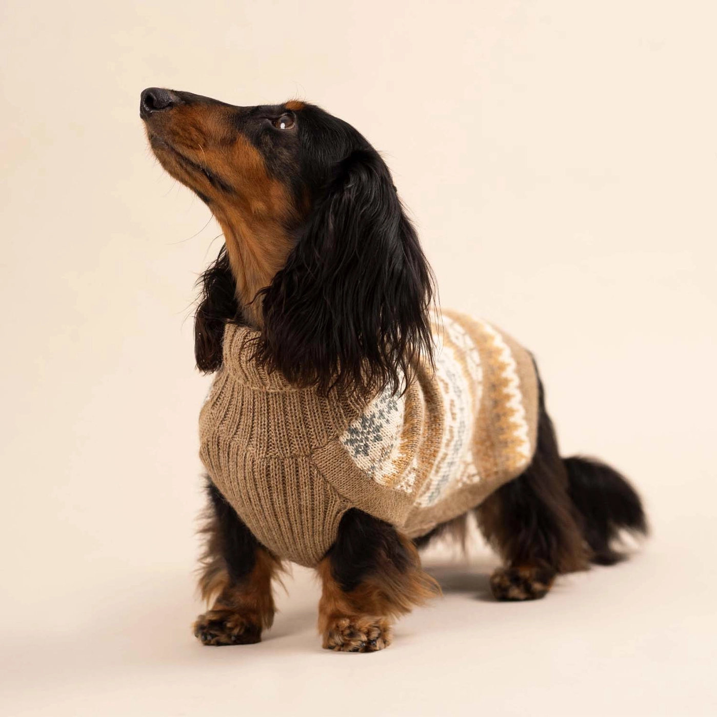 Alqo Wasi FALL MEDLEY Alpaka Hundepullover Brown Gr. L