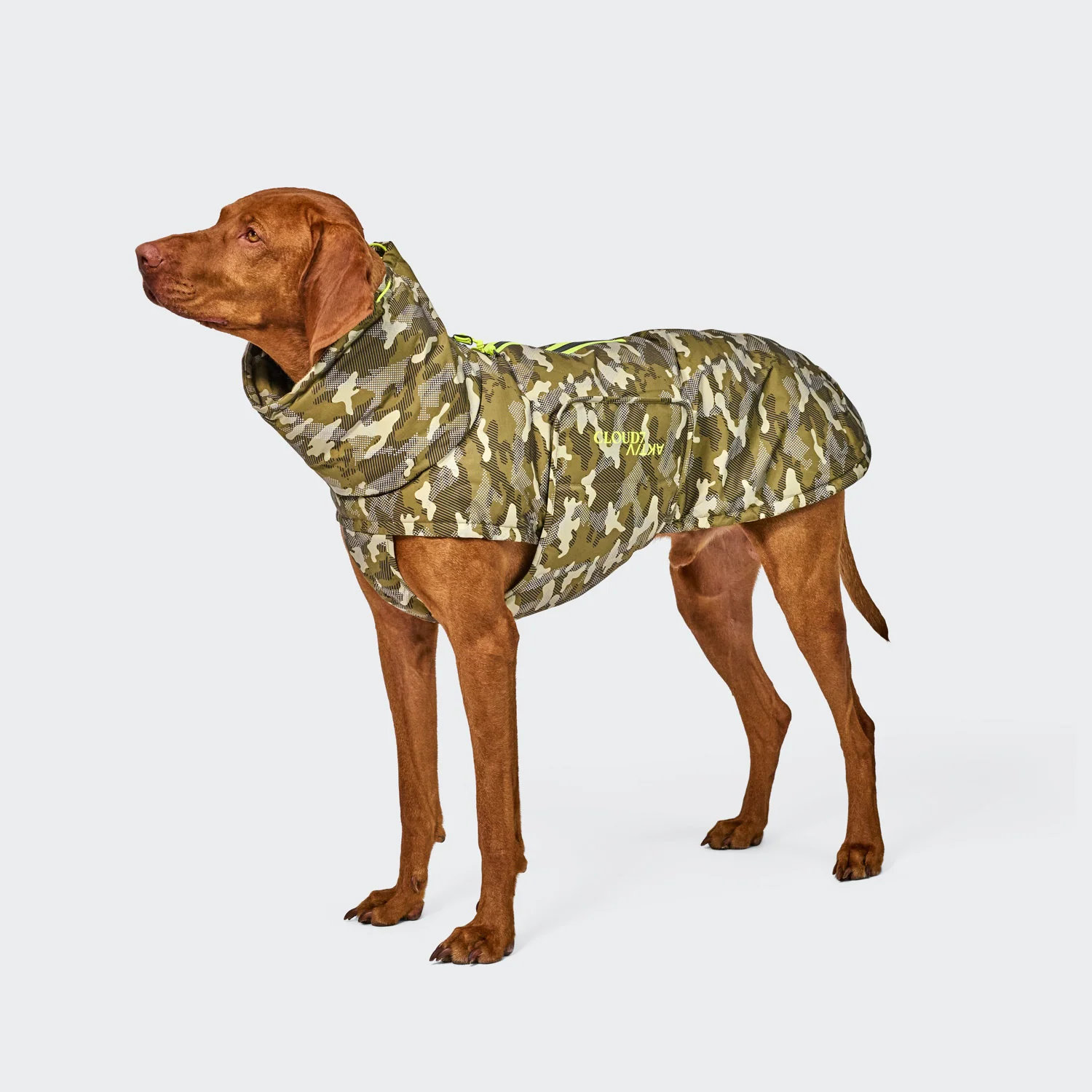 Cloud7 Hundemantel Alaska AKTIV Camo Gr. 5