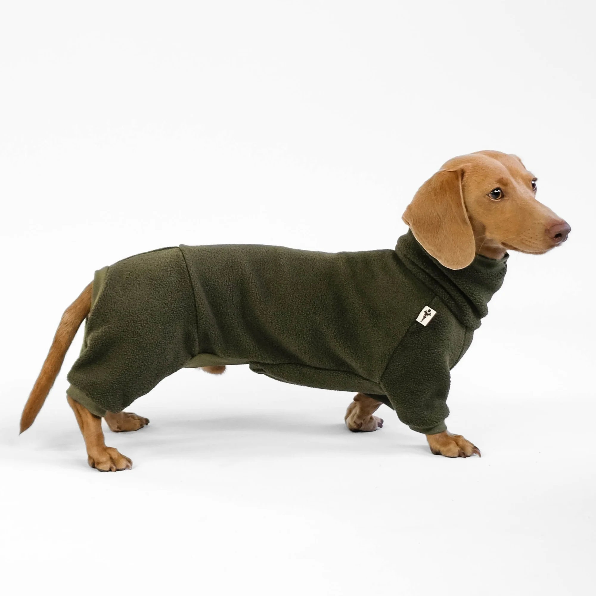 Karma Hund OVERALL Dackel Olivgrün