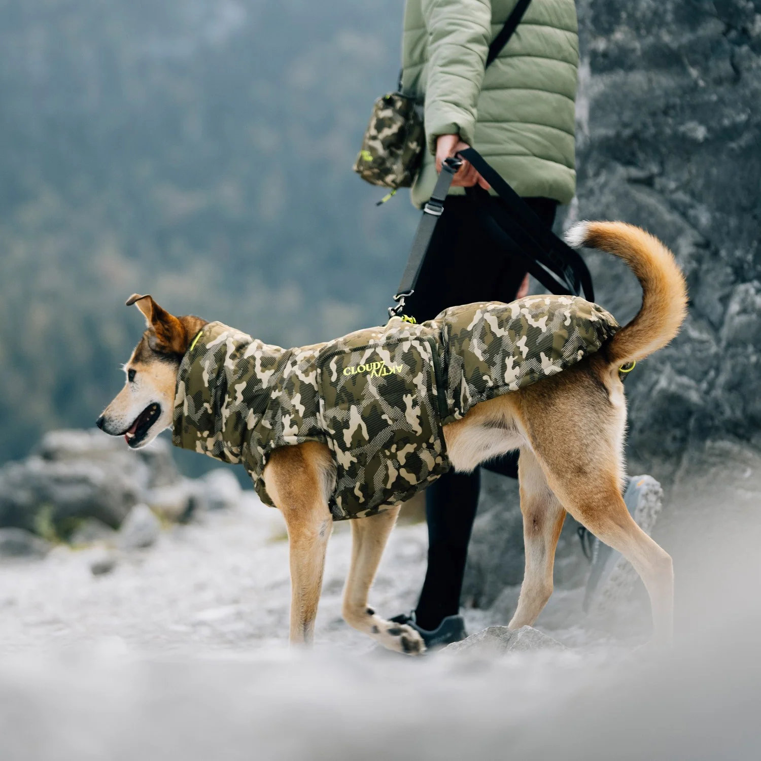 Cloud7 Hundemantel Alaska AKTIV Camo Gr. 5