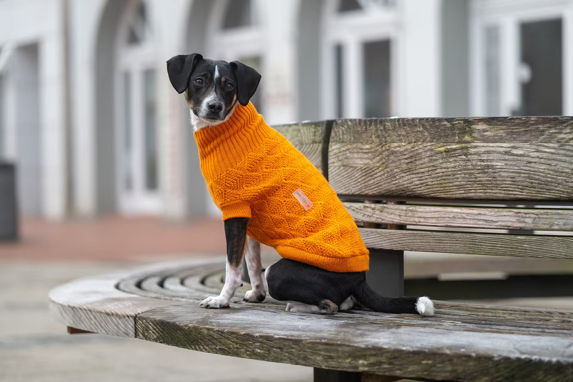 WOLTERS Strickpullover Diamond fancy orange Gr. 20