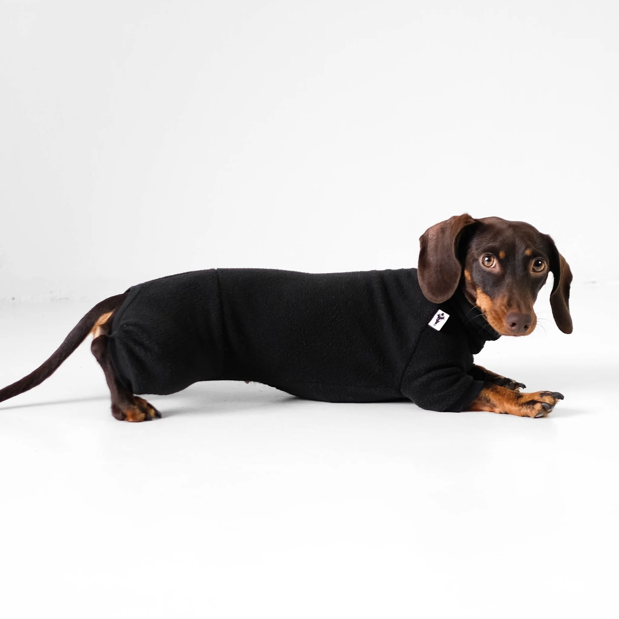 Overall Dackel Schwarz