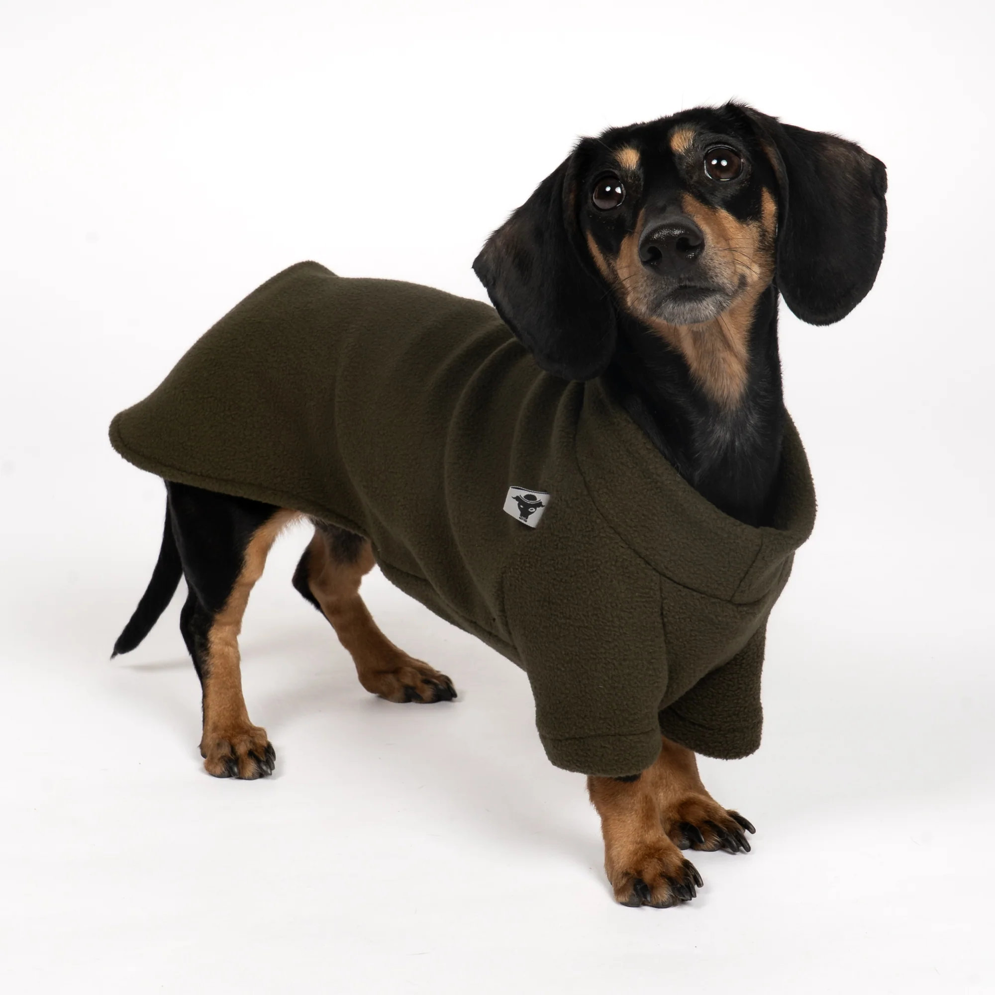 Karma Hund Pullover Dackel Olivgrün