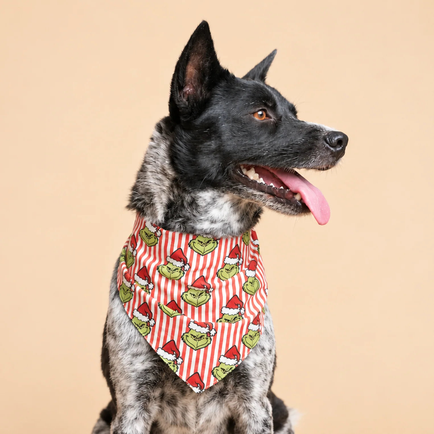 The Paws Hundehalstuch GRINCHMAS S