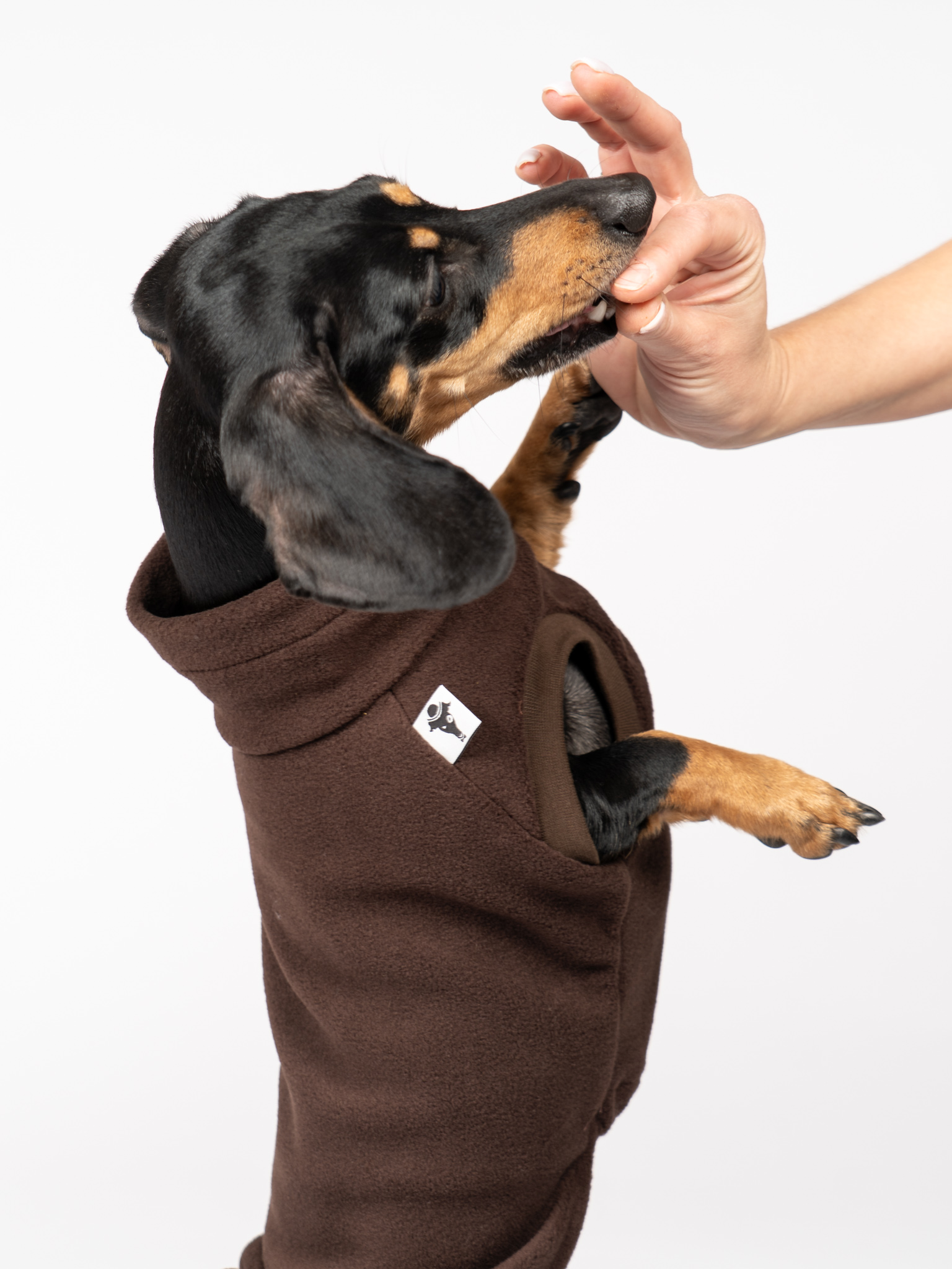 Karma Hund FLEECE SHIRT Dackel Dunkelbraun