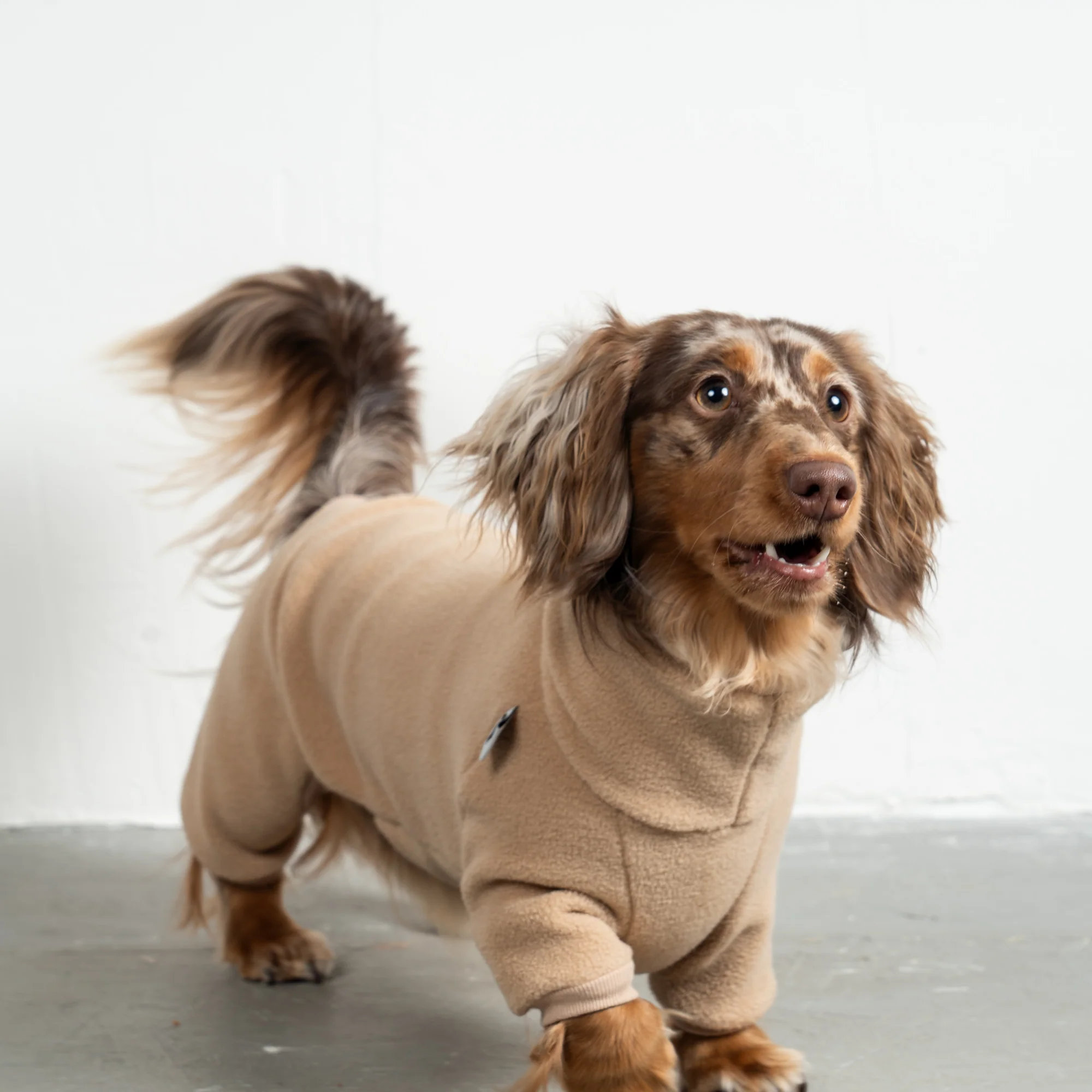 Karma Hund OVERALL Dackel Sand Beige S