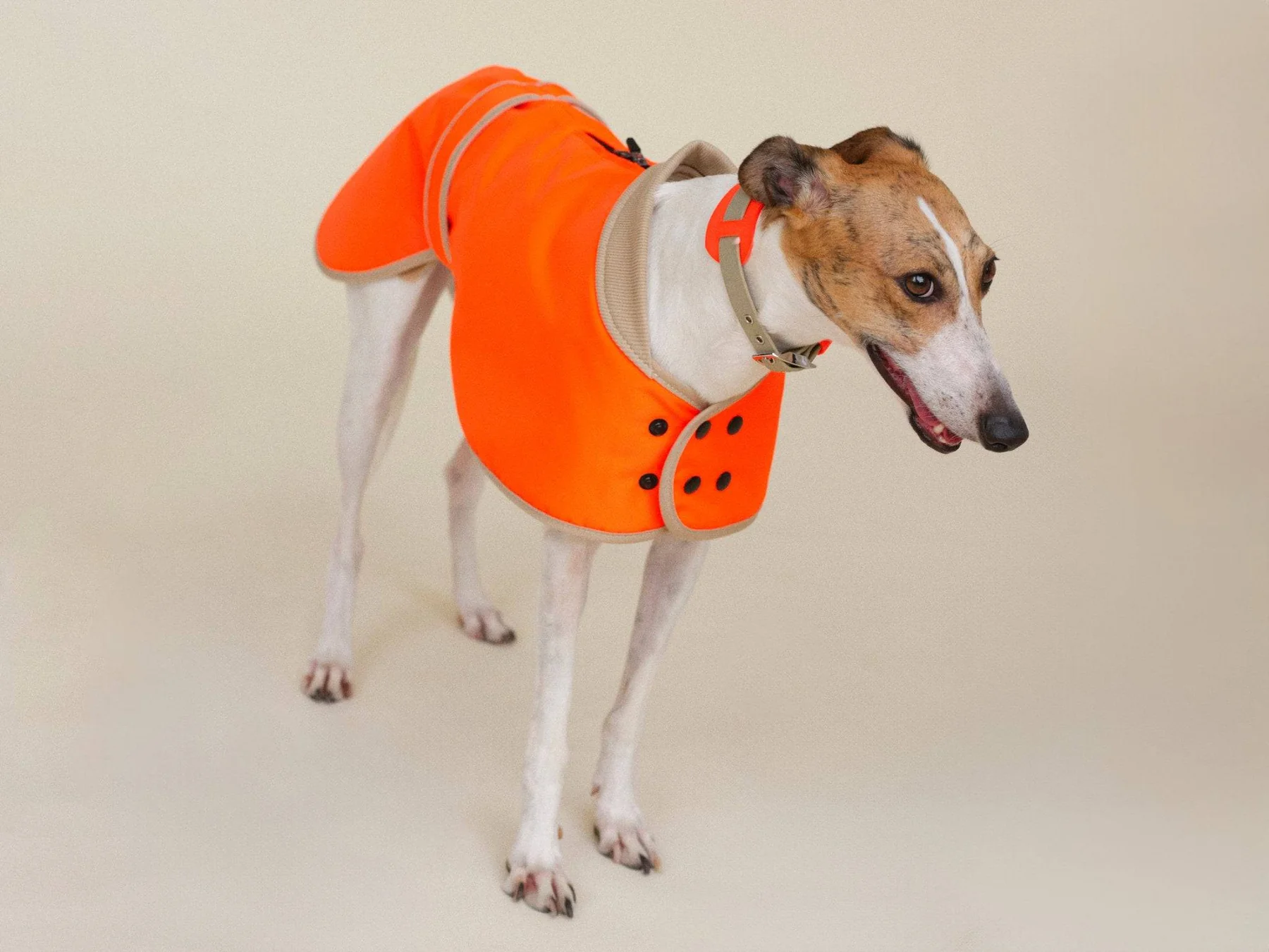 lumiies® Regenmantel THE GLOW RAINCOAT REGULAR_FIT Neon Tangerine Tiger