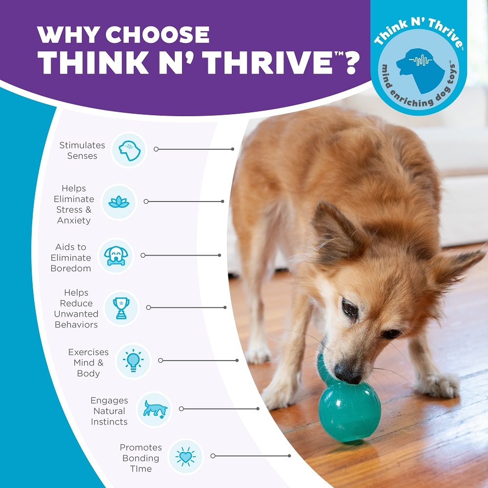 Planet Dog Belohnungsspielzeug Double-Tuff® Blue Medium 