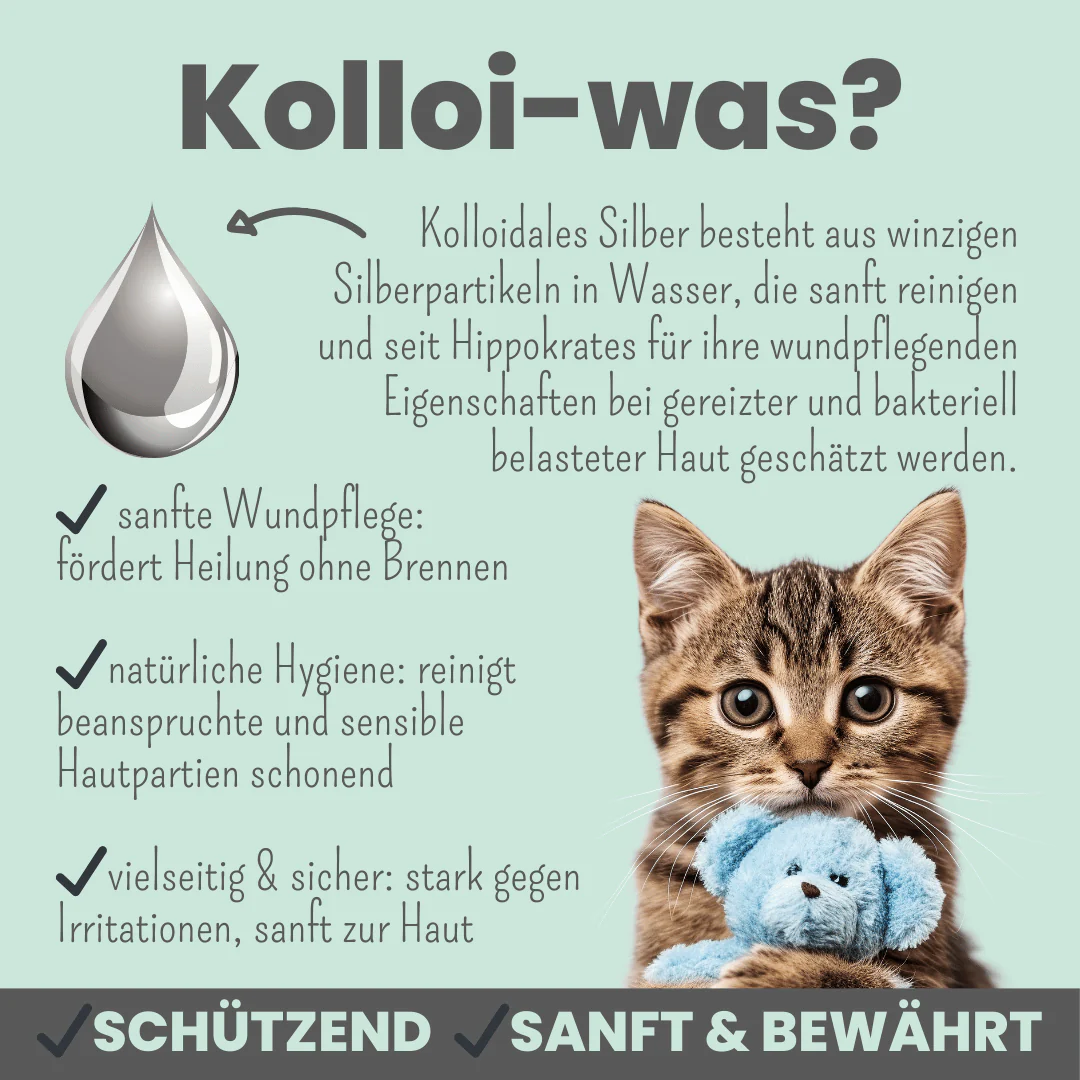 noms+ Silberspray für Hunde und Katzen mit 50ppm 100 ml