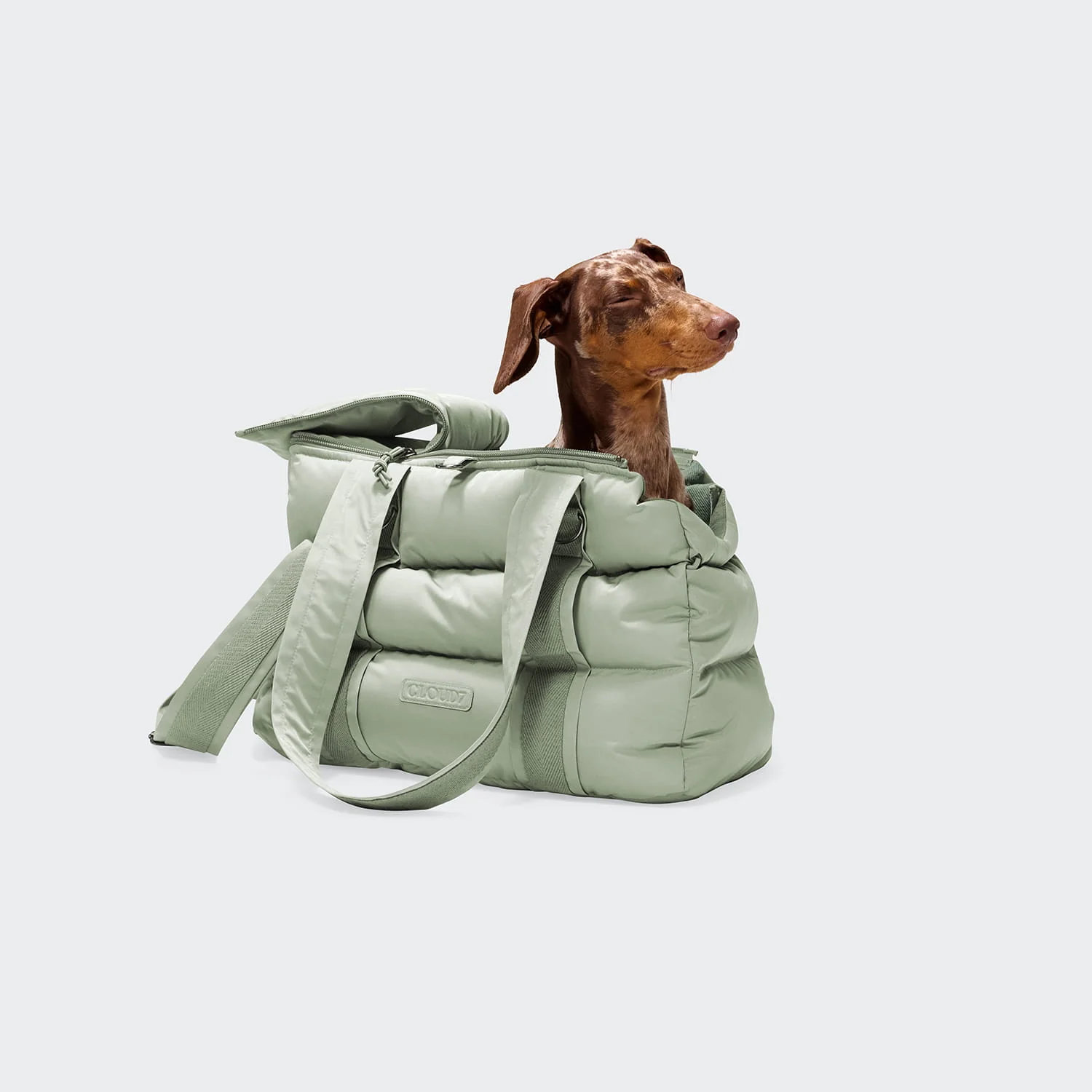 CLOUD7 Hundetasche MONTREAL 2.0 Dusty Mint Gr. S