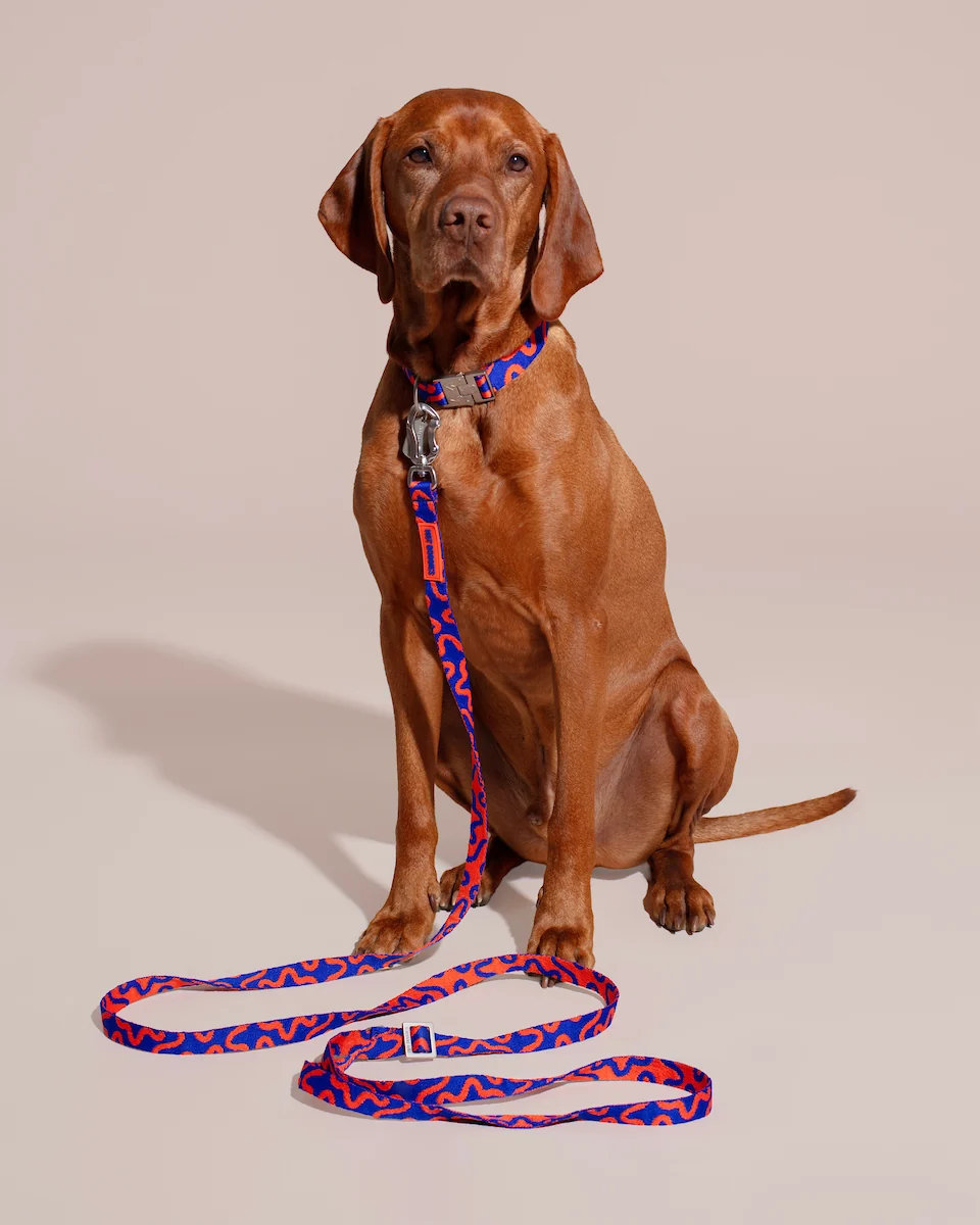 HOT DOGGIES® Hands-Free Leine ROCKY ELECTRIC