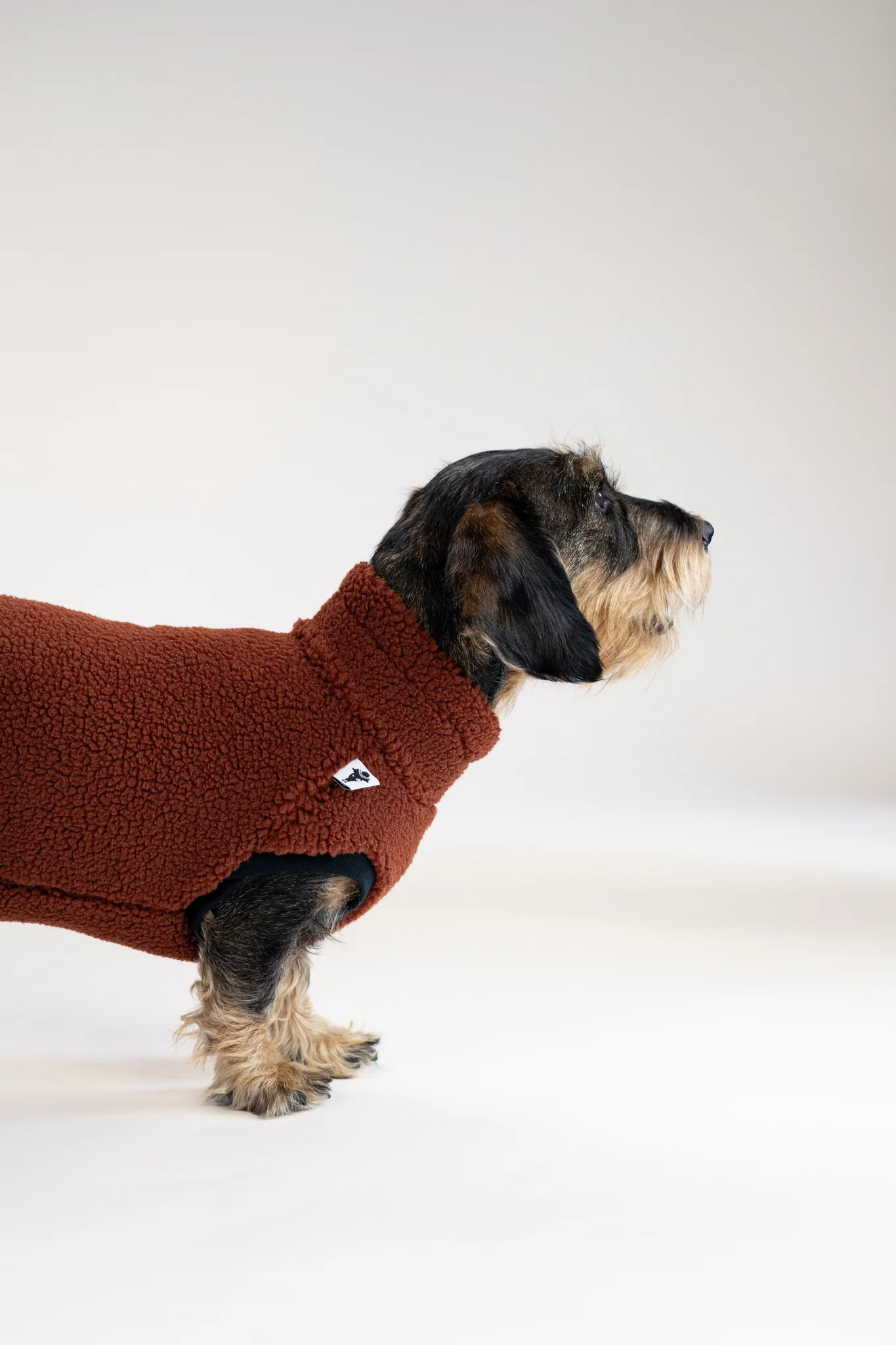 Karma Hund Teddy Shirt Dackel Rostbraun