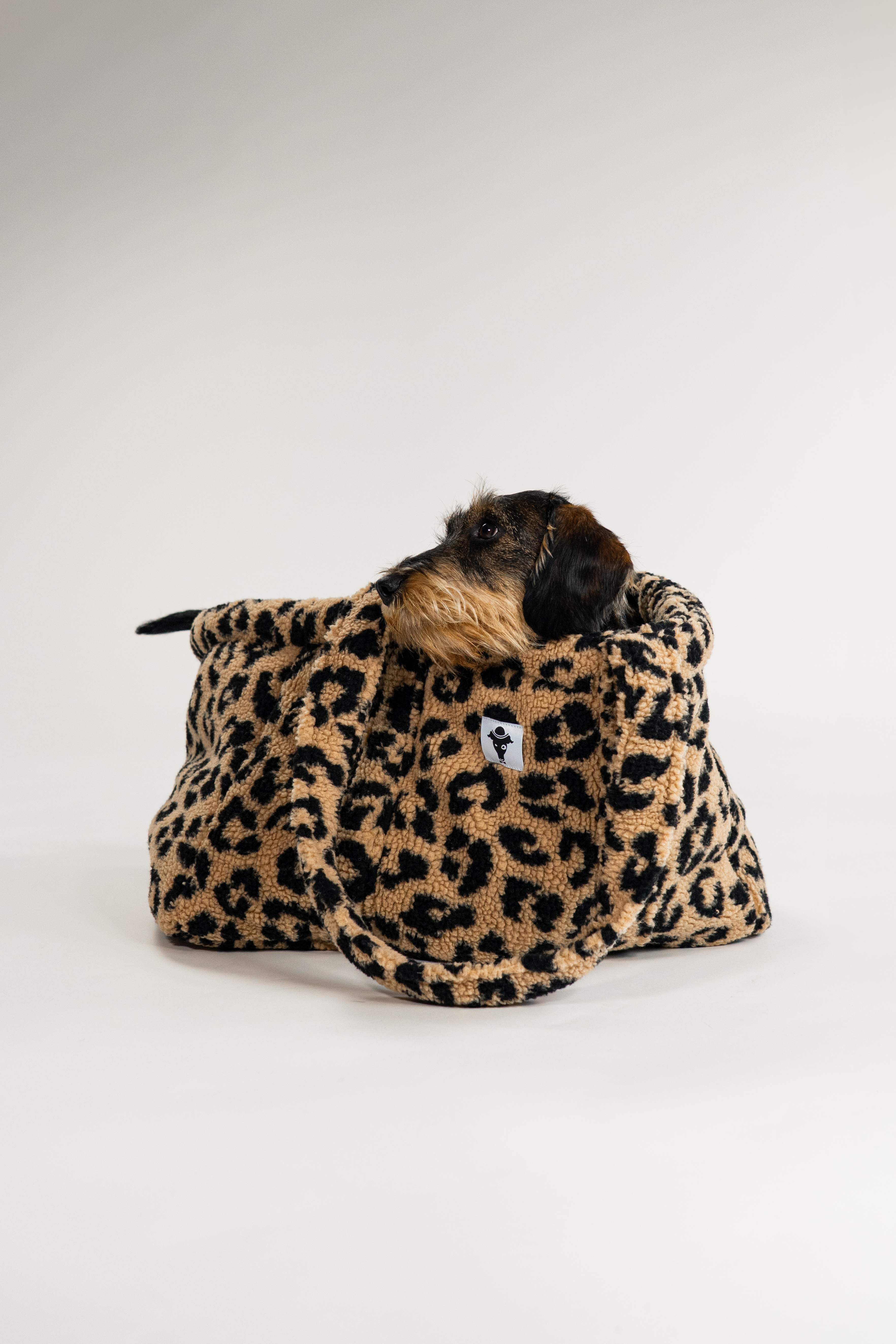 Teddy Shopper Leo