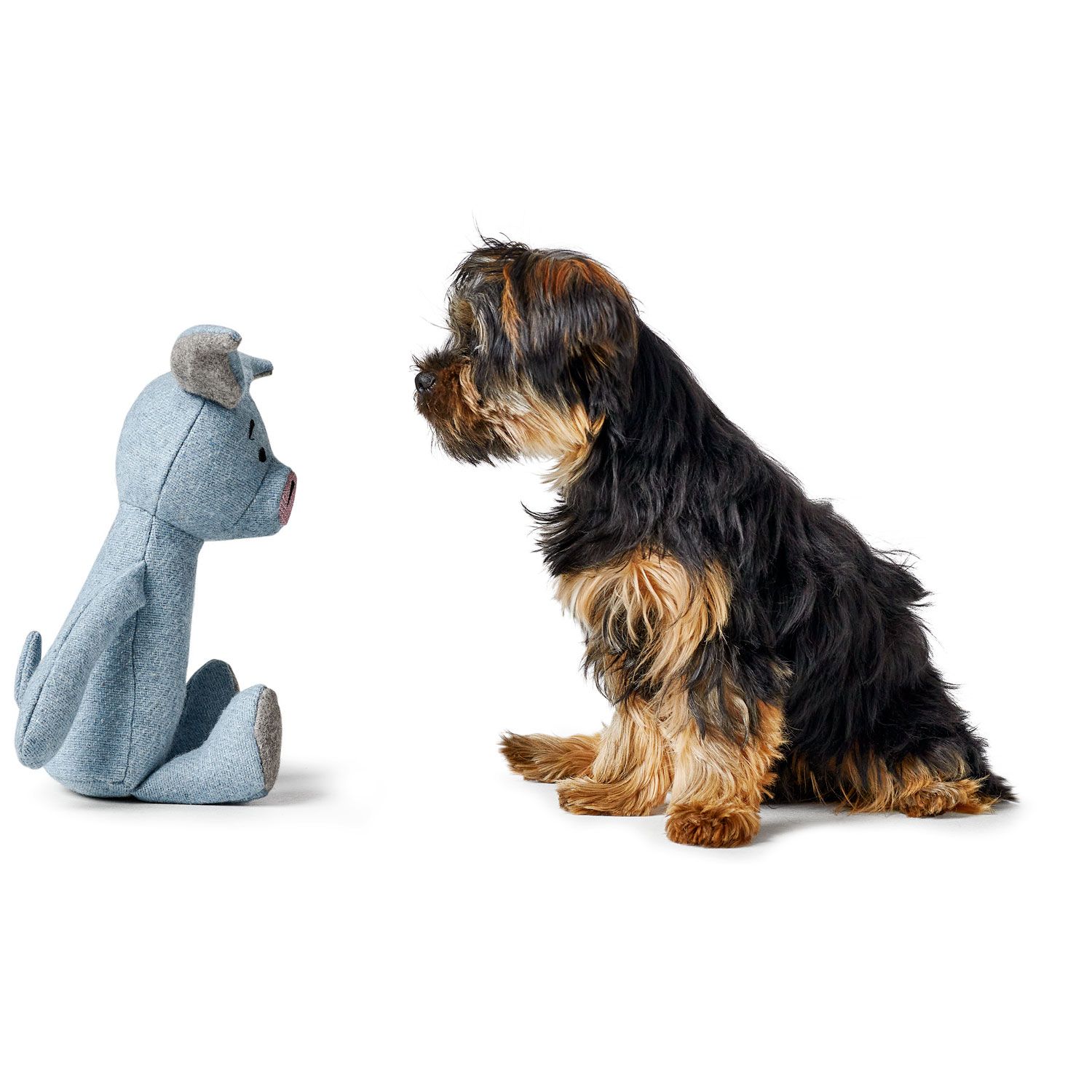 Hundespielzeug MARLE SCHWEIN