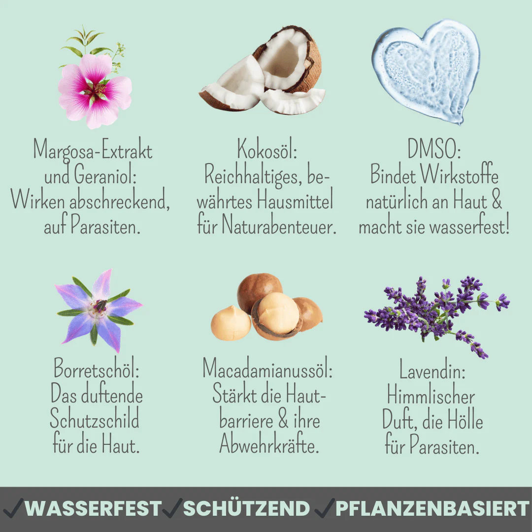 noms+ Wasserfestes Zpot-on für Hunde gegen Zecken, Flöhe, Milben & Mücken 100 ml