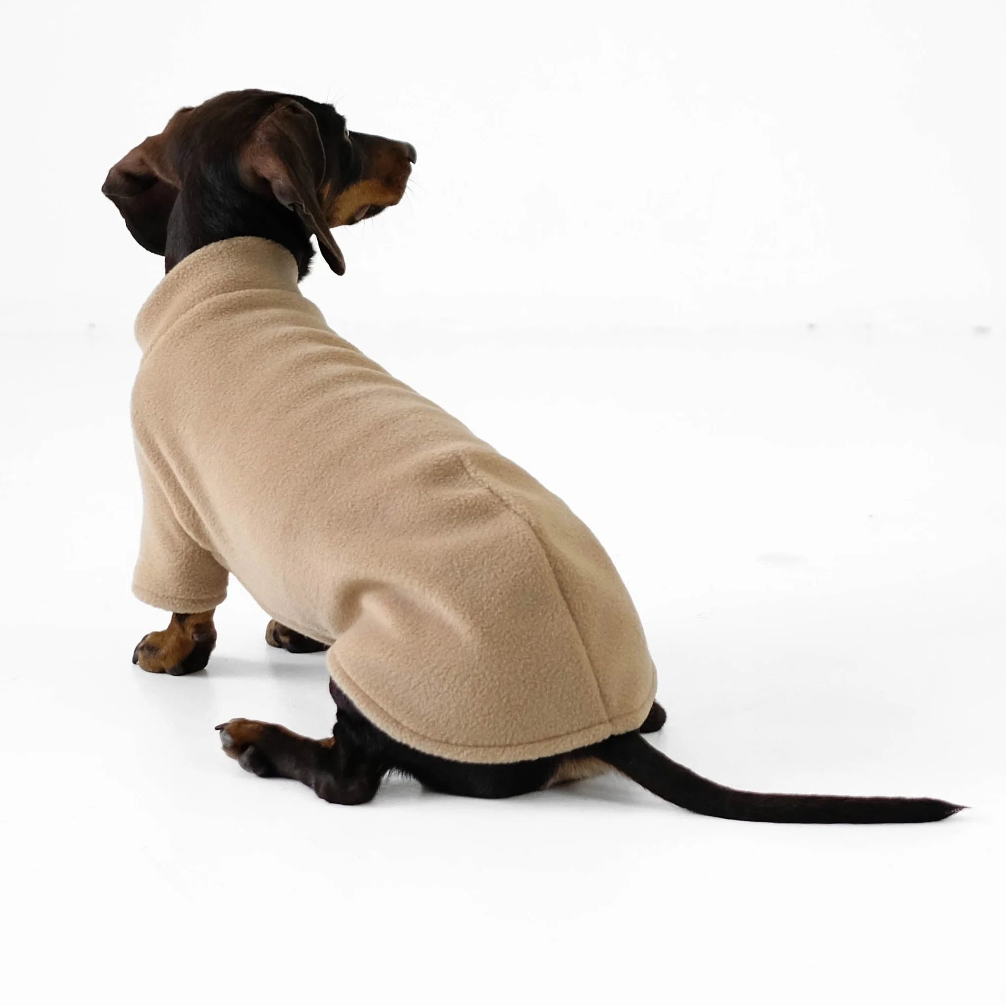 Pullover Dackel Camel