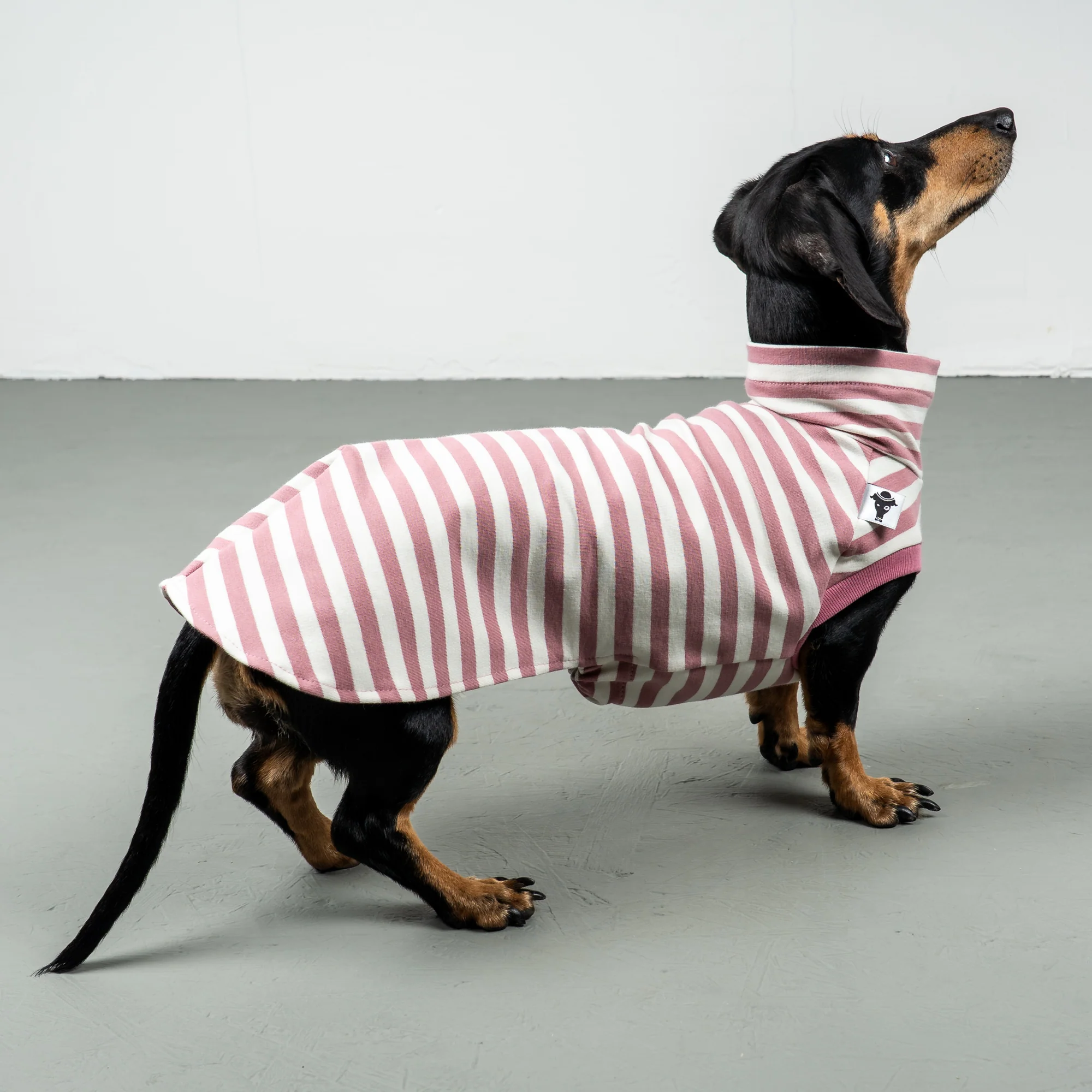 Cotton Shirt Dackel Pink Stripes L