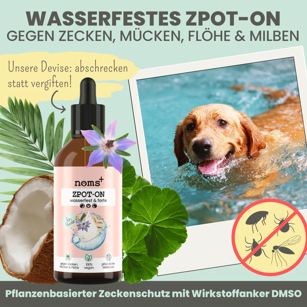 noms+ Wasserfestes Zpot-on für Hunde gegen Zecken, Flöhe, Milben & Mücken 100 ml