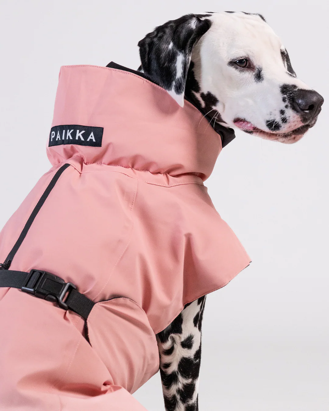 Hundewintermantel VISIBILITY WINTER JACKET WOOL Rose