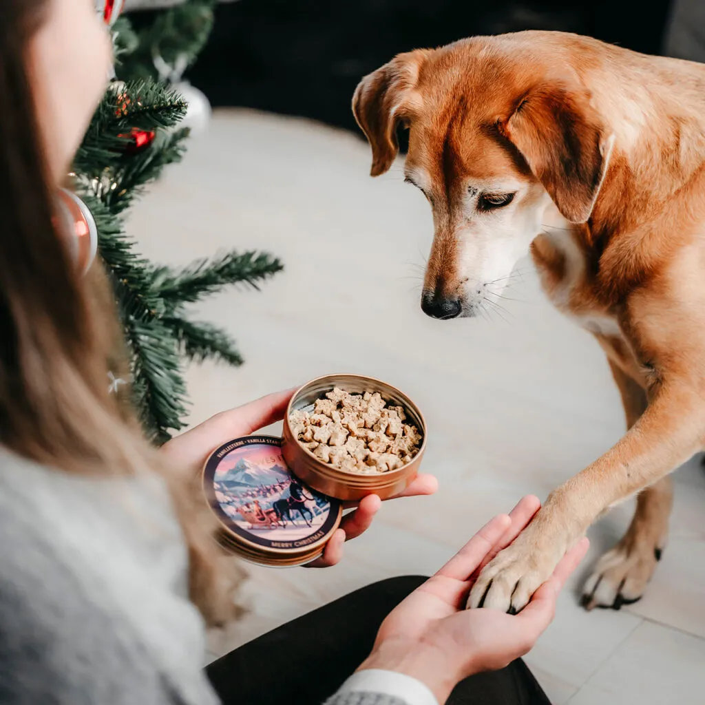 LILA LOVES IT Weihnachts-Goodies – Vegetarische Kokos-Vanille-Sternchen 60 g