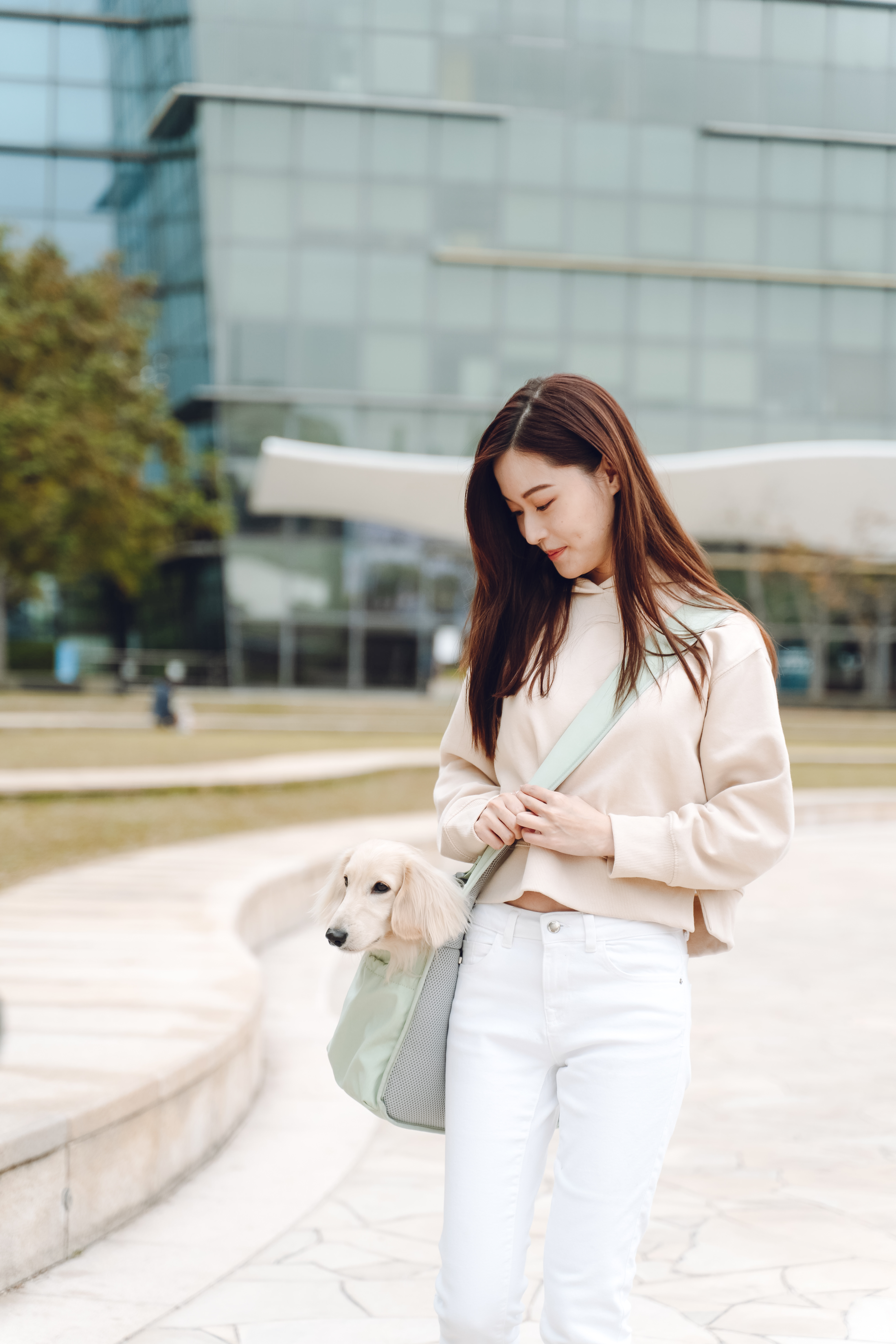 Hundetragetasche CARRY ME CROSSBODY PET CARRIER Sage