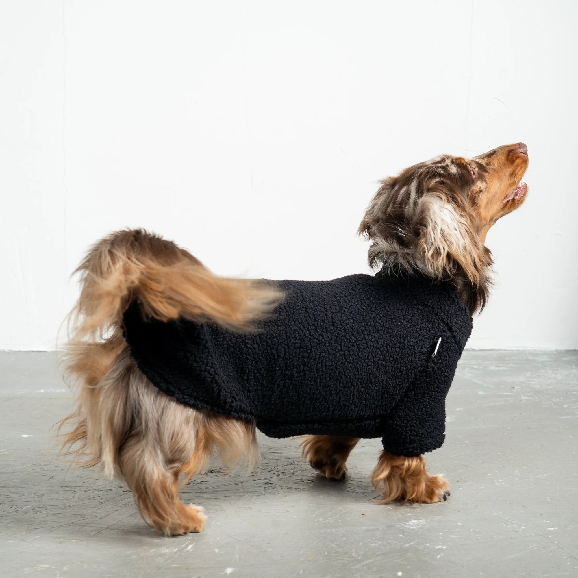 Karma Hund Teddy Pullover Dackel Schwarz