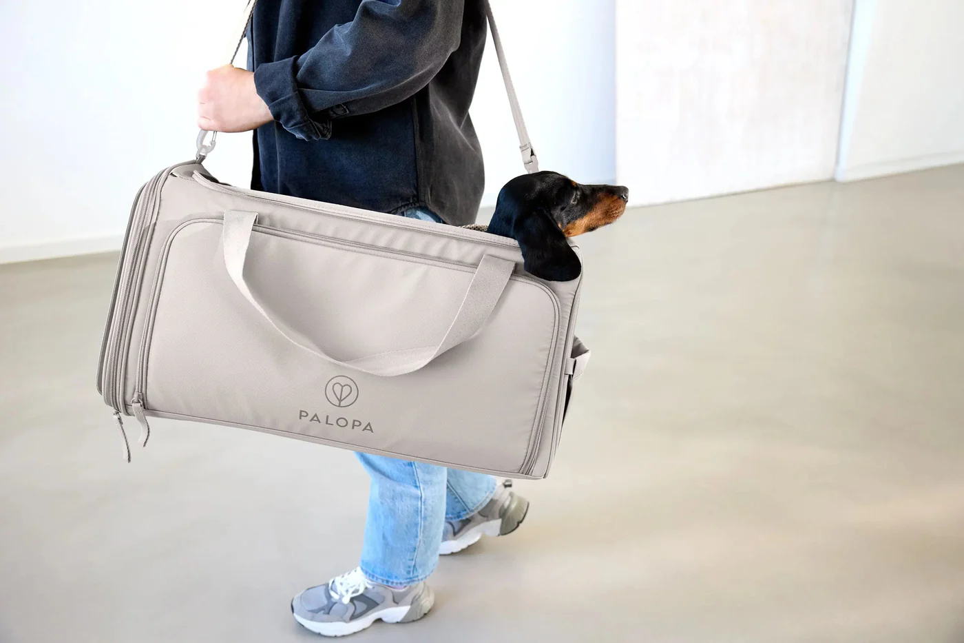 Hundetasche BENNO taupe
