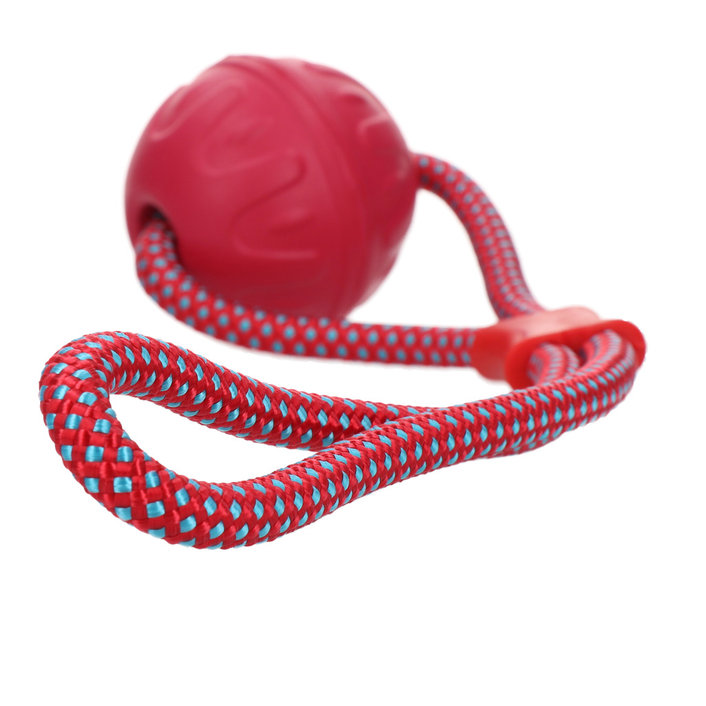 Dog Comets Ball VORTEX LOOP Pink