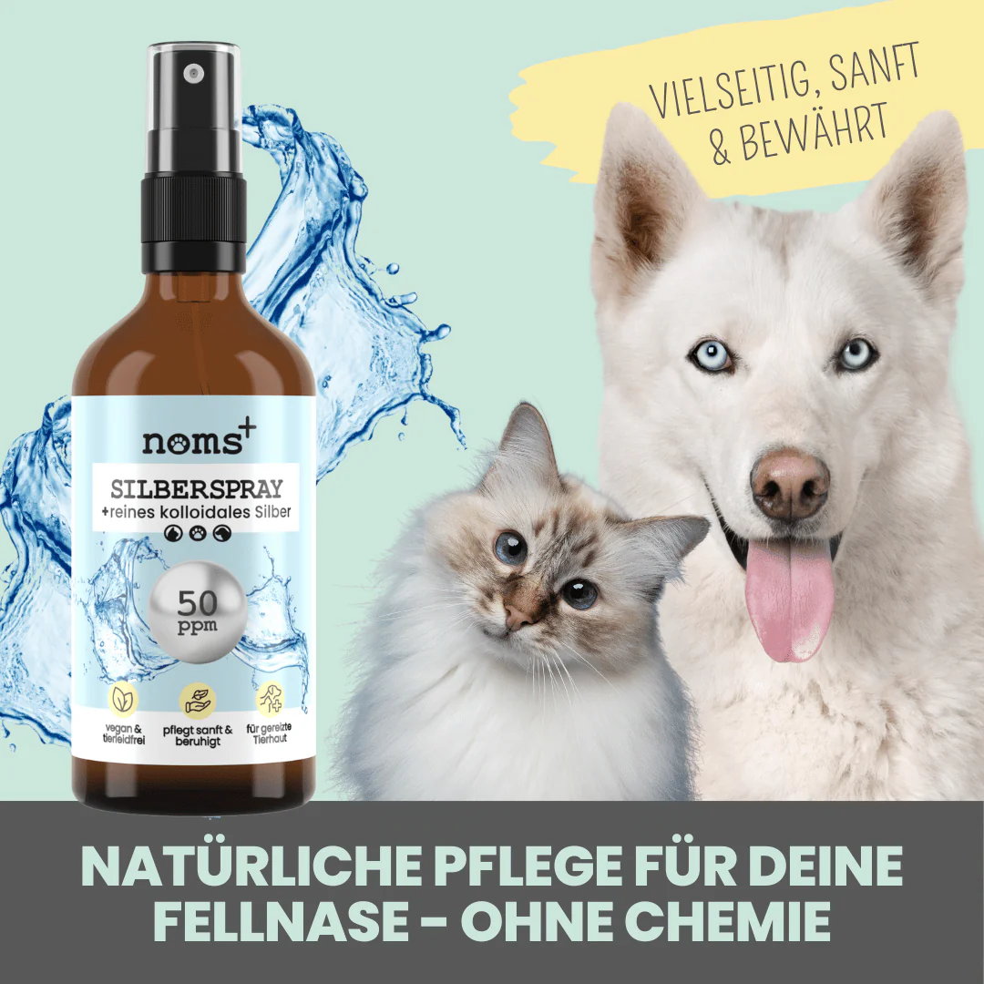 noms+ Silberspray für Hunde und Katzen mit 50ppm 100 ml