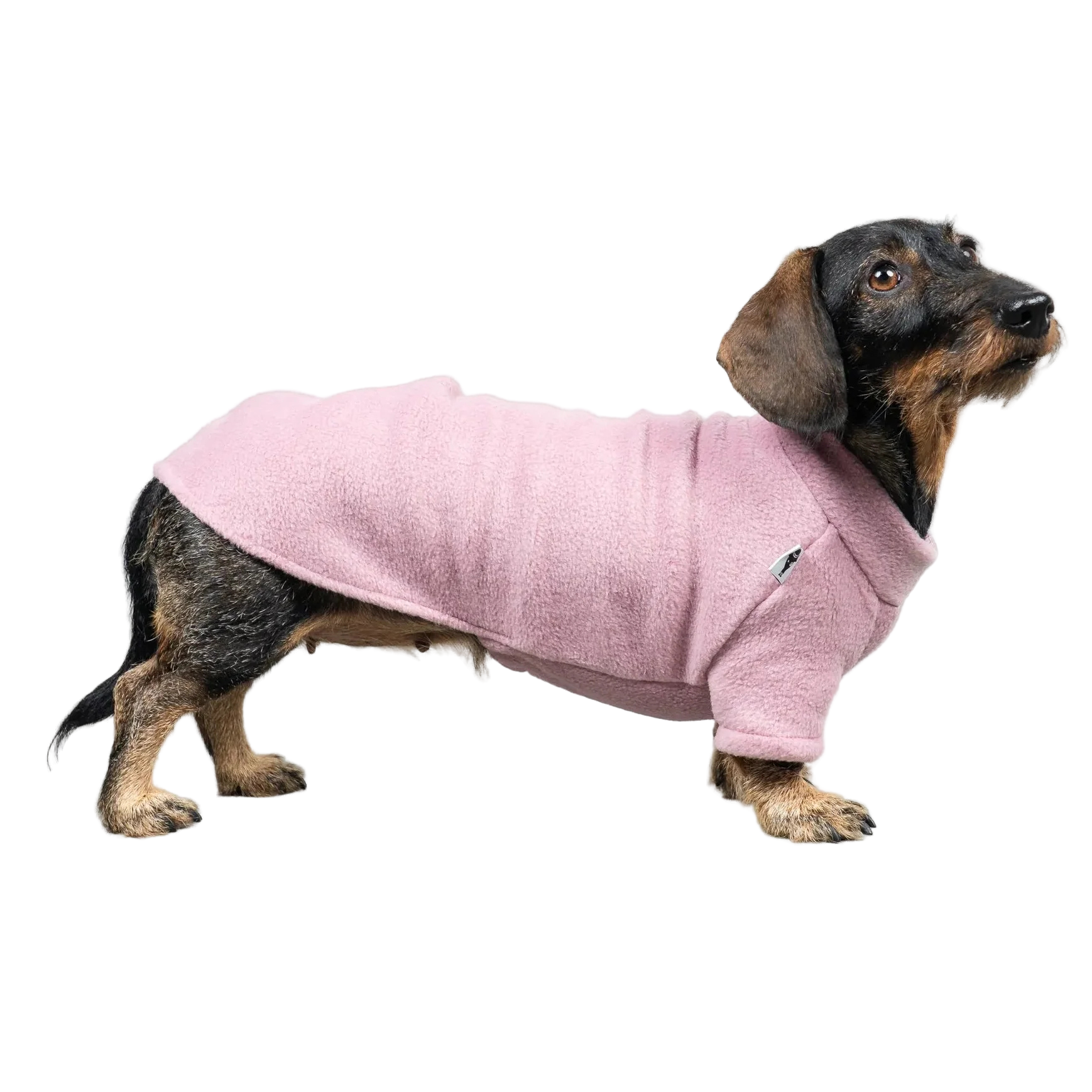 Karma Hund Pullover Dackel Altrosa