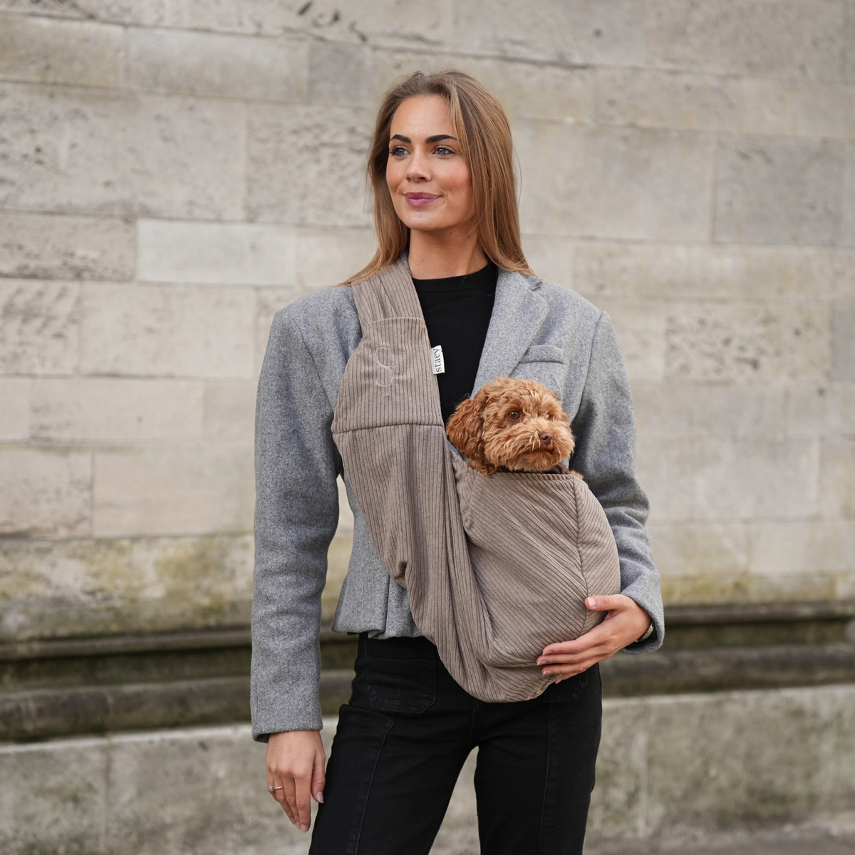 Hundetragetasche AVA Corduray Taupe