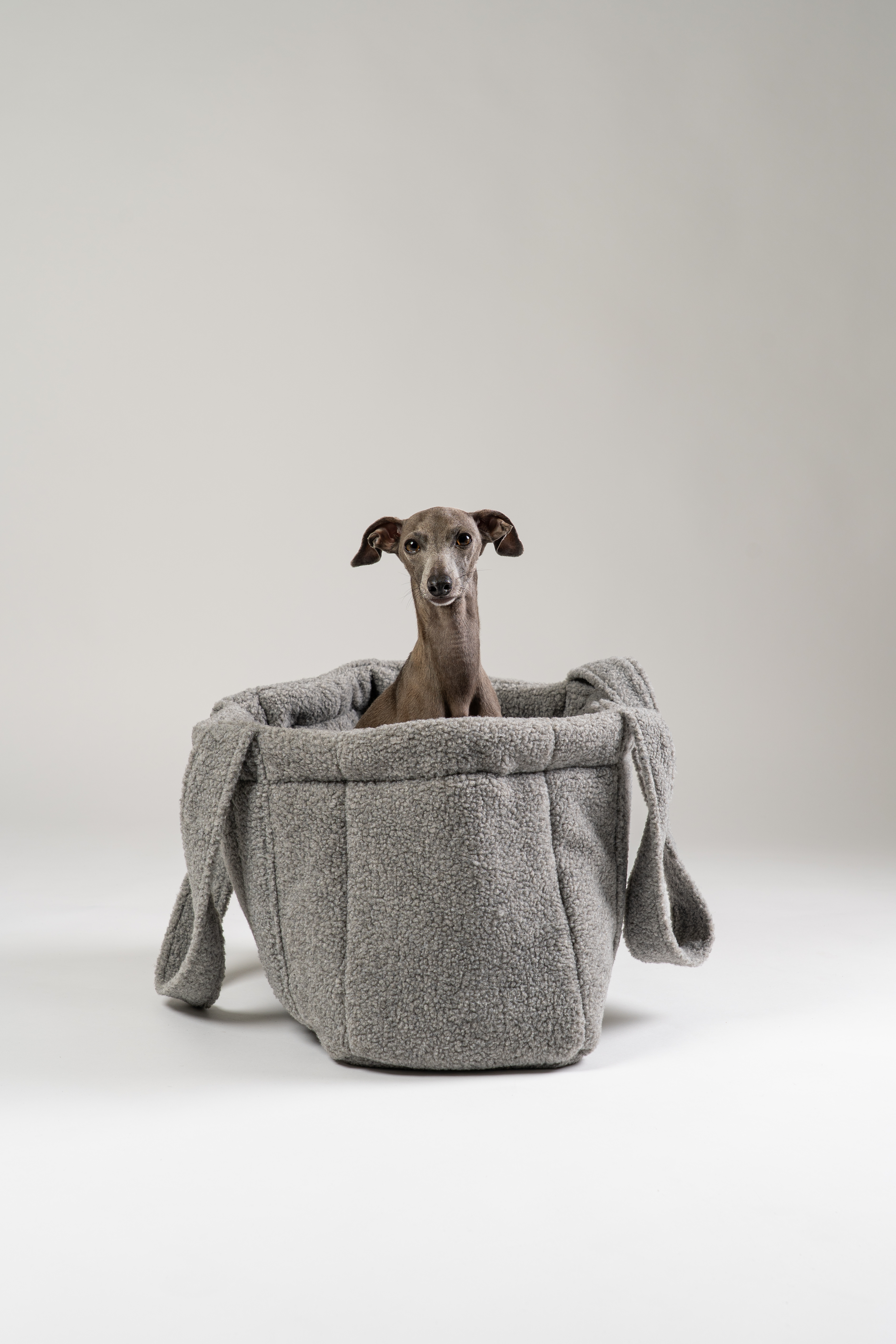 Teddy Shopper Grey