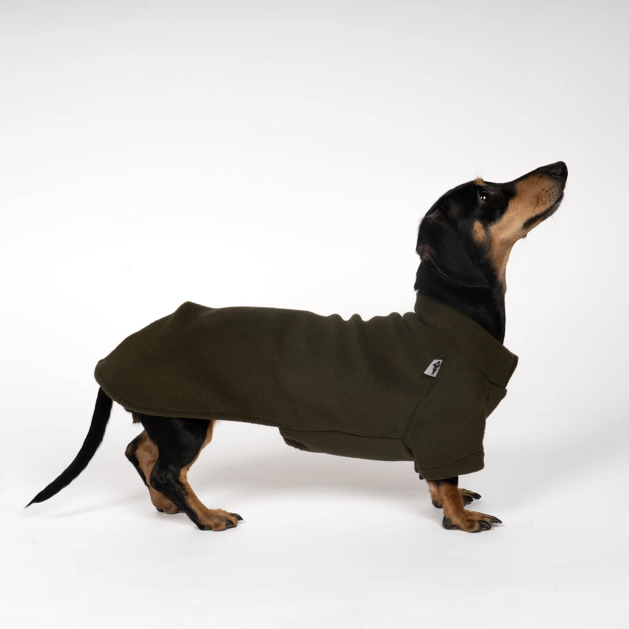 Karma Hund Pullover Dackel Olivgrün