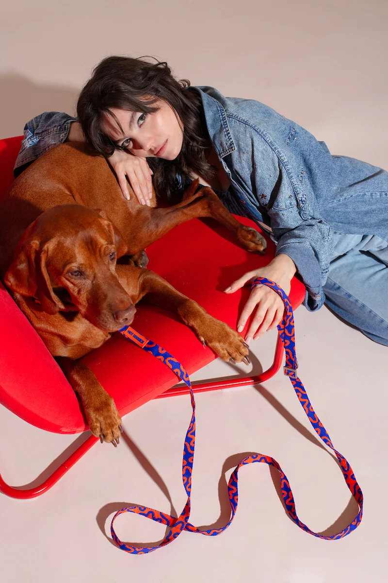 HOT DOGGIES® Hands-Free Leine ROCKY ELECTRIC