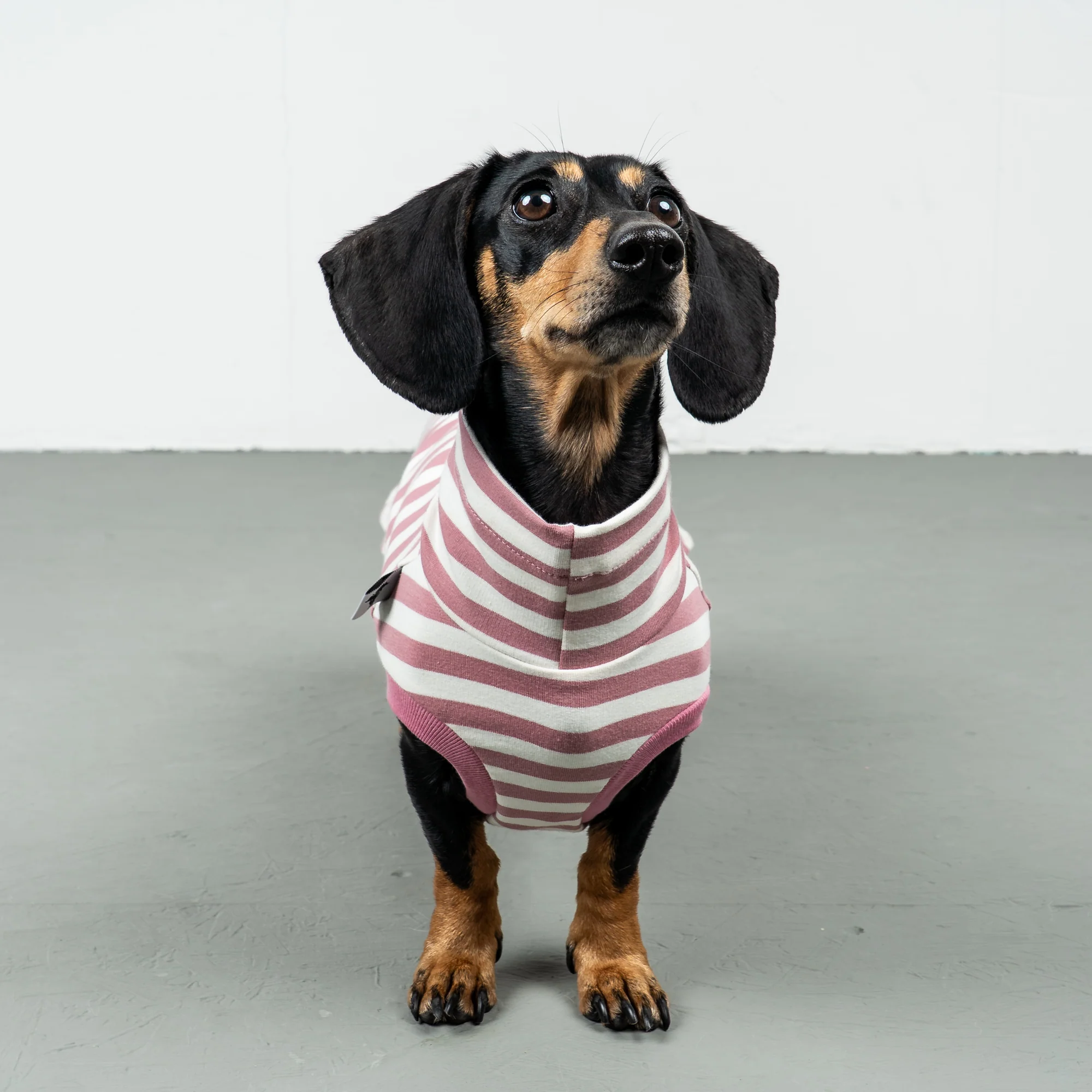 Cotton Shirt Dackel Pink Stripes L
