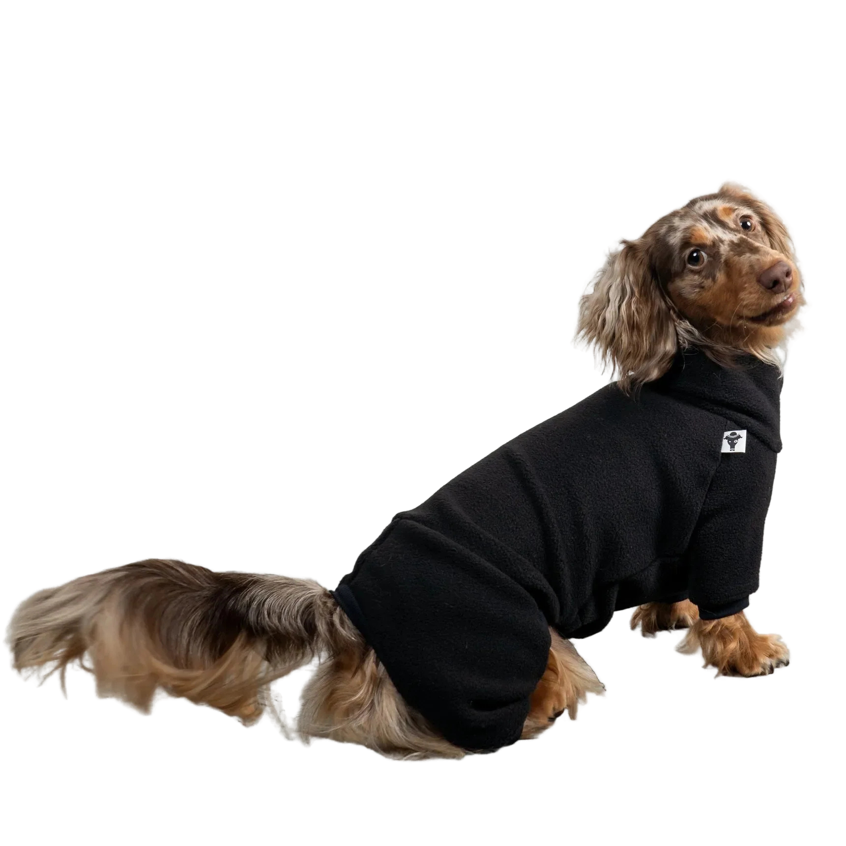Karma Hund OVERALL Dackel Schwarz