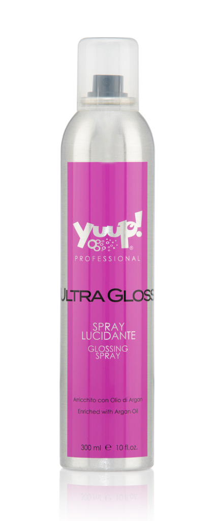 Glanz-und Finish Spray ULTRA GLOSS