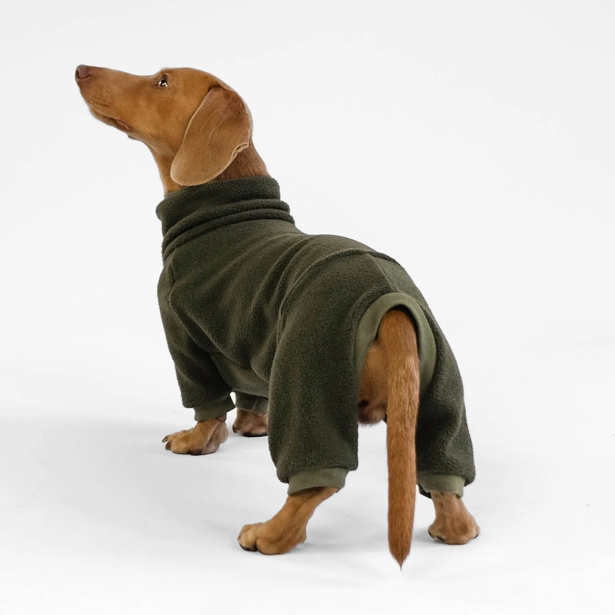Karma Hund OVERALL Dackel Olivgrün XXXL