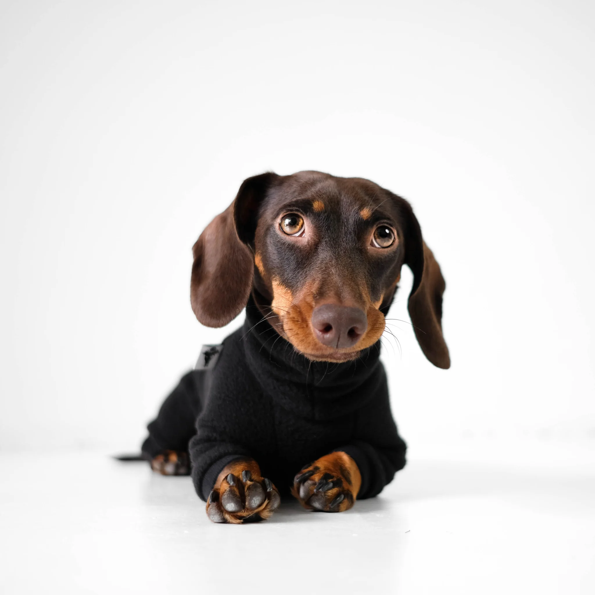 Overall Dackel Schwarz