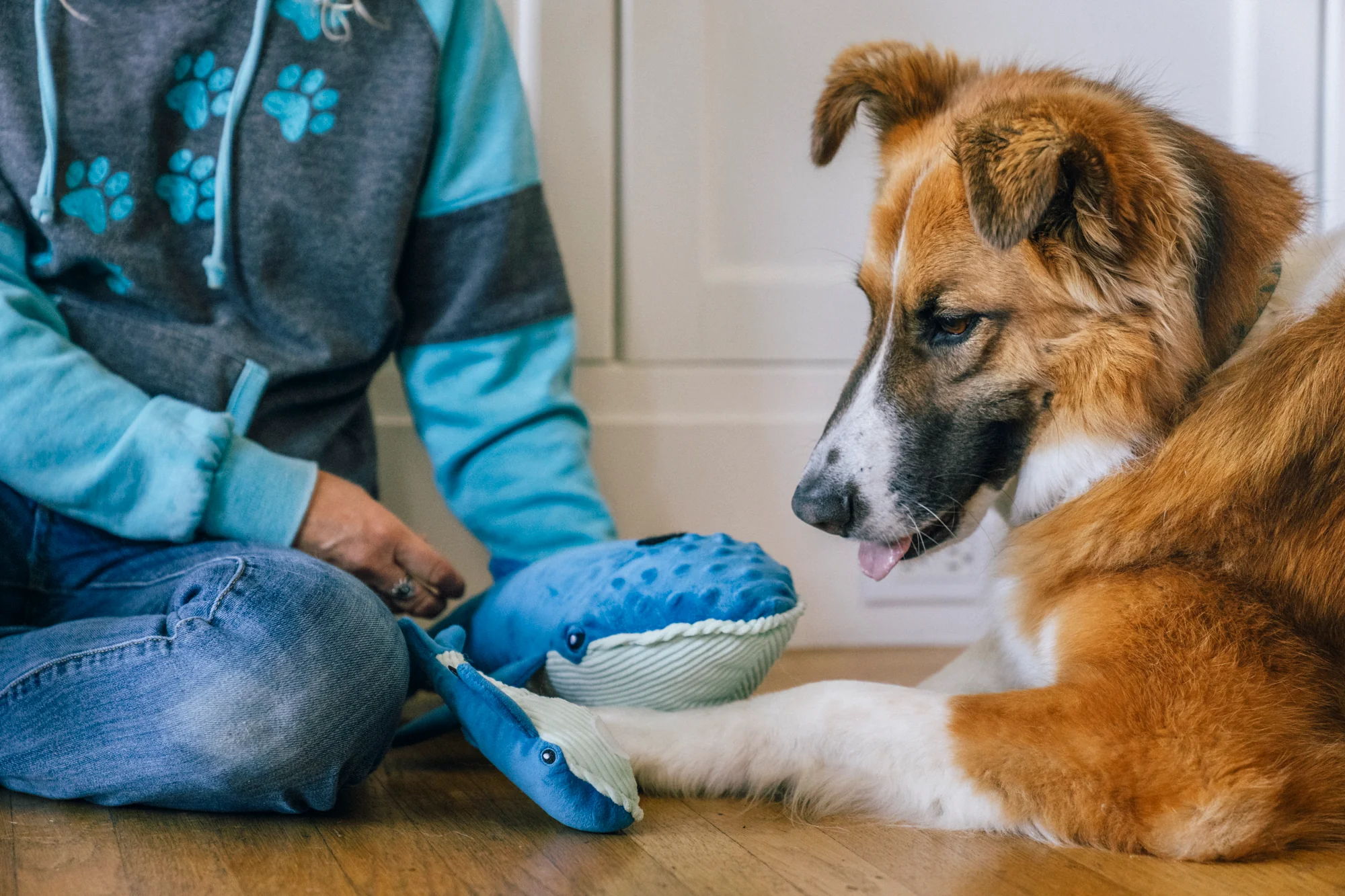 Hundespielzeug Ocean Buddies BIG BLUE & BABY BLUE Blauwale