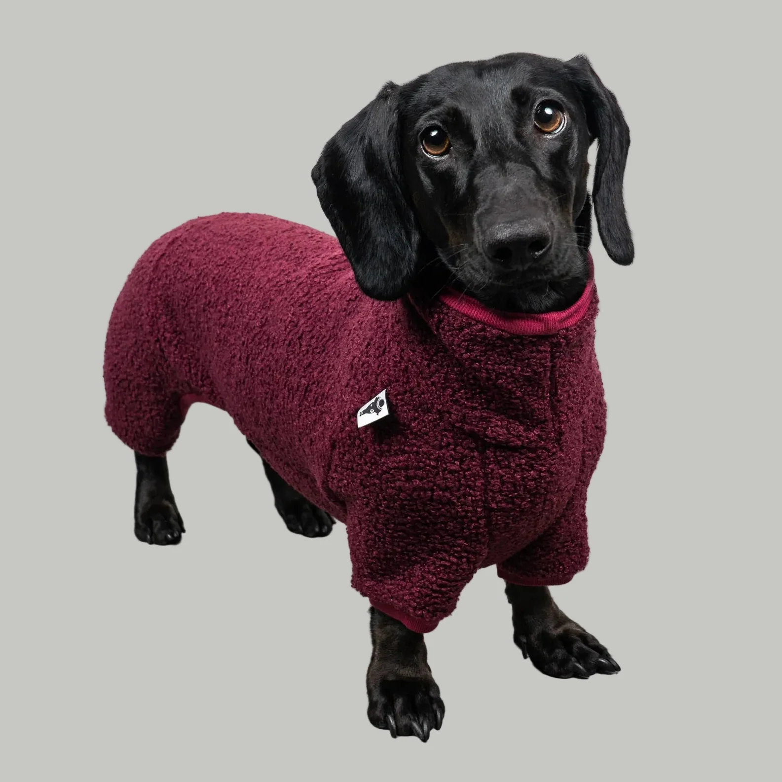 Karma Hund WINTER OVERALL 2.0 Dackel Weinrot S