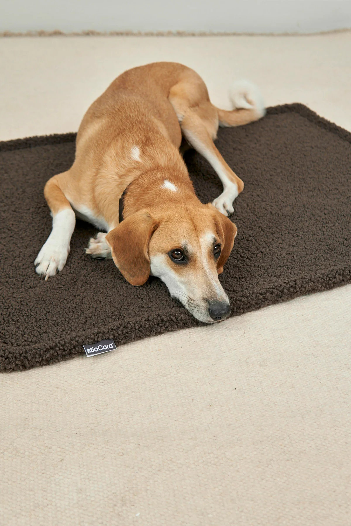 MiaCara SENSO Hundedecke Schokolade Gr. M