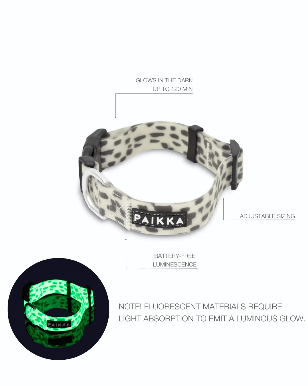 PAIKKA Glow Hundehalsband 2.0 Leo – nachleuchtend 1,5x23-30cm
