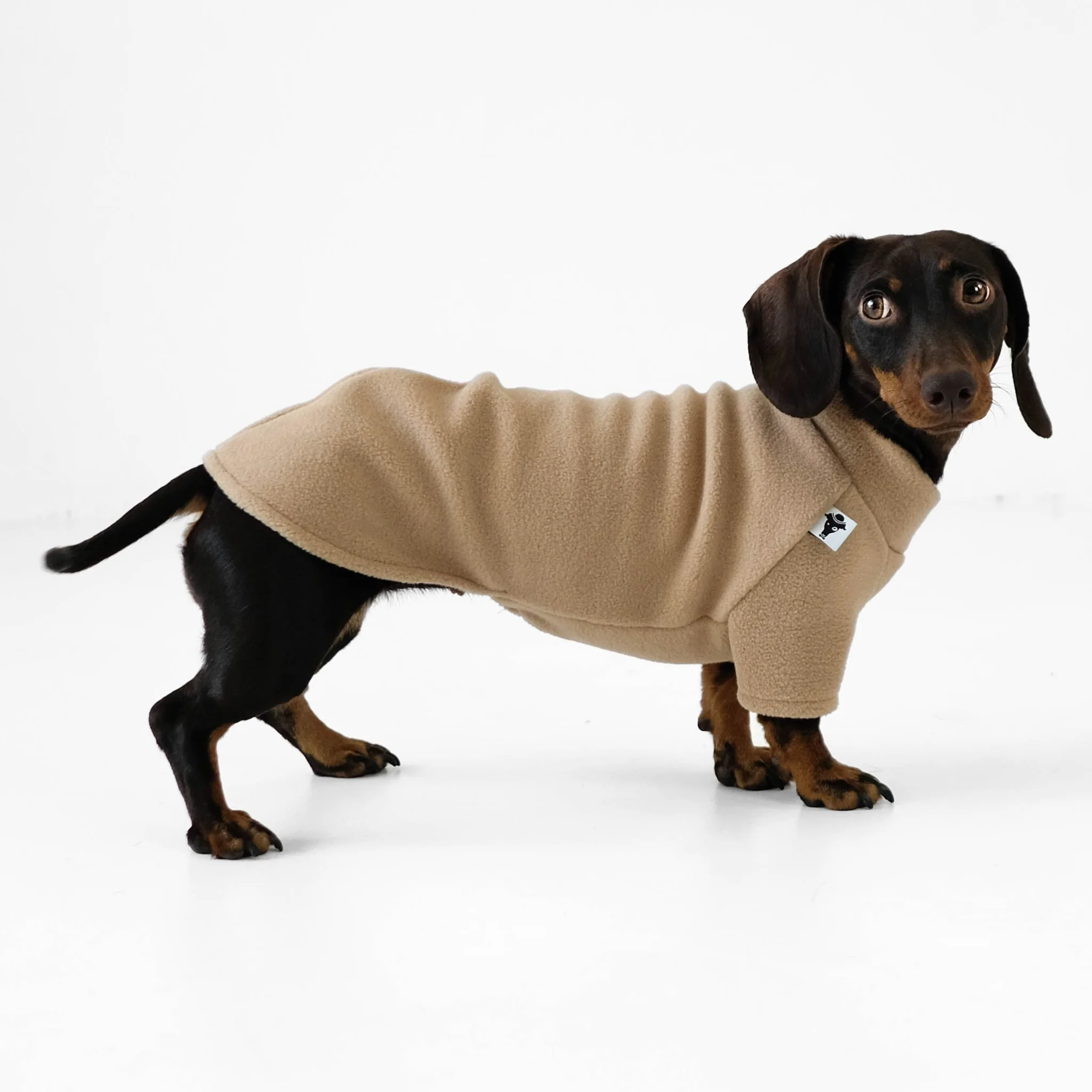 Pullover Dackel Camel