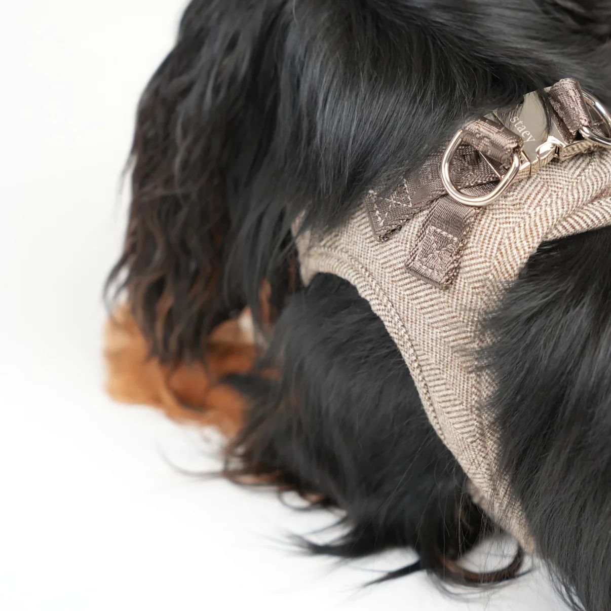 Step-In Hundegeschirr SAGA Mocca