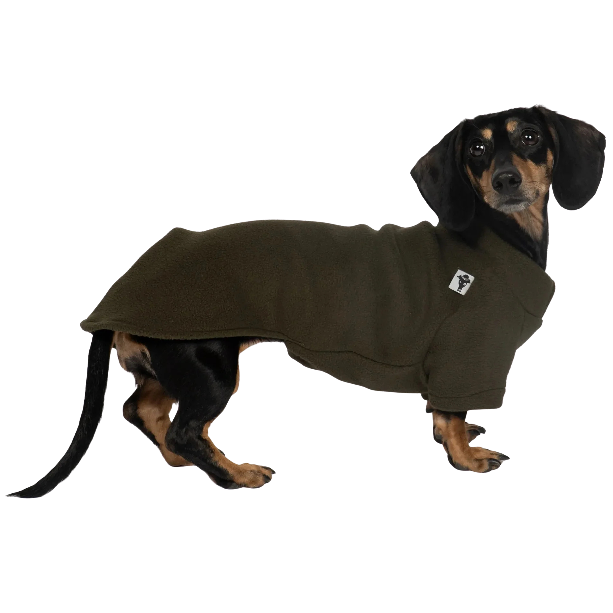 Karma Hund Pullover Dackel Olivgrün