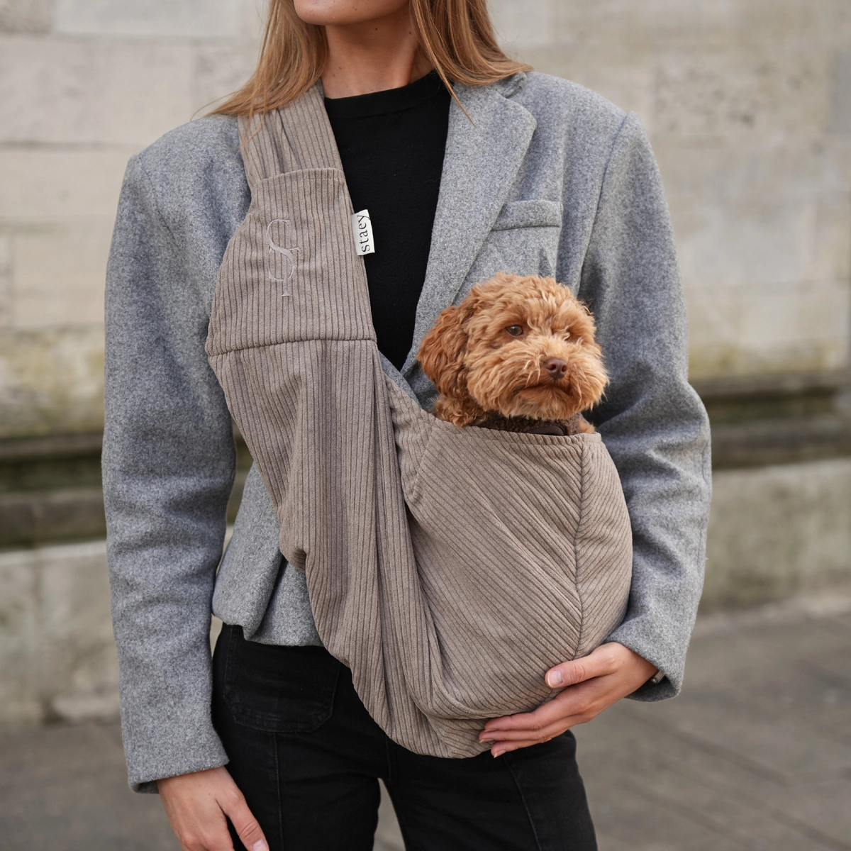 Hundetragetasche AVA Corduray Taupe
