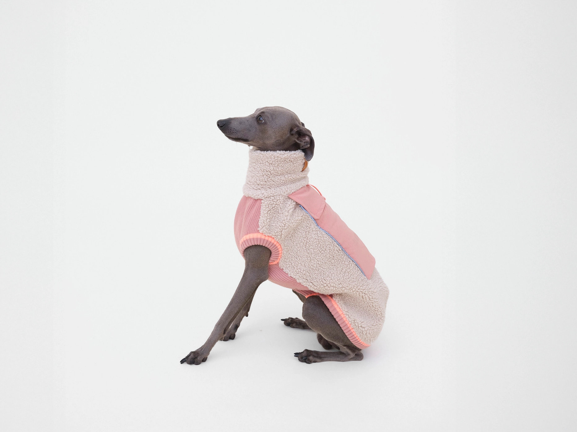 lumiies® THE SPORT RACER PULLOVER Royal Rosewood – warmer Sherpa Hundepullover Gr. 7