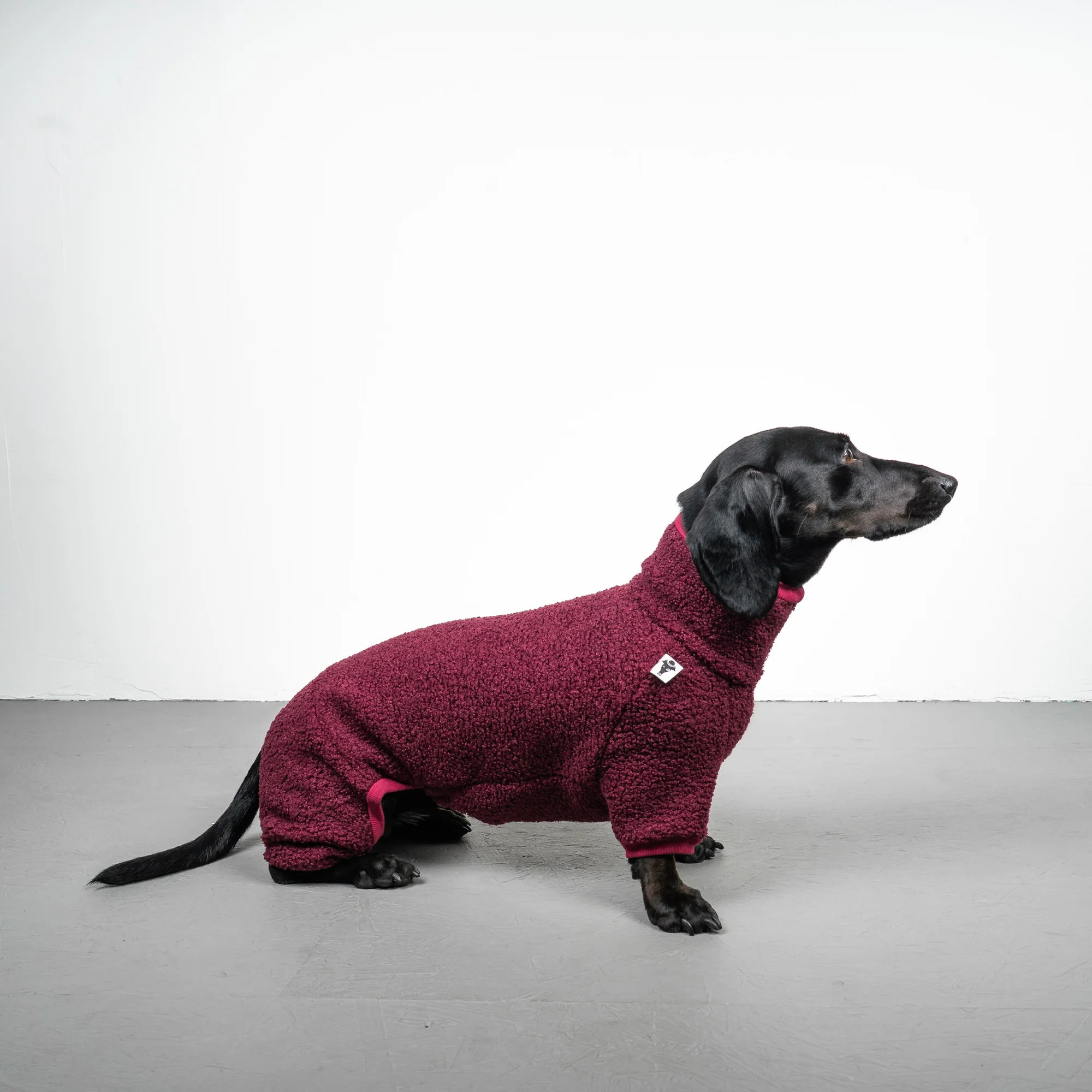 Karma Hund WINTER OVERALL 2.0 Dackel Weinrot S