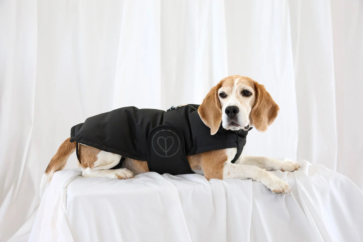 PALOPA Hundewintermantel Nolia Lang Black - für Dackel & Hunde mit längerer Körperform Gr. 3